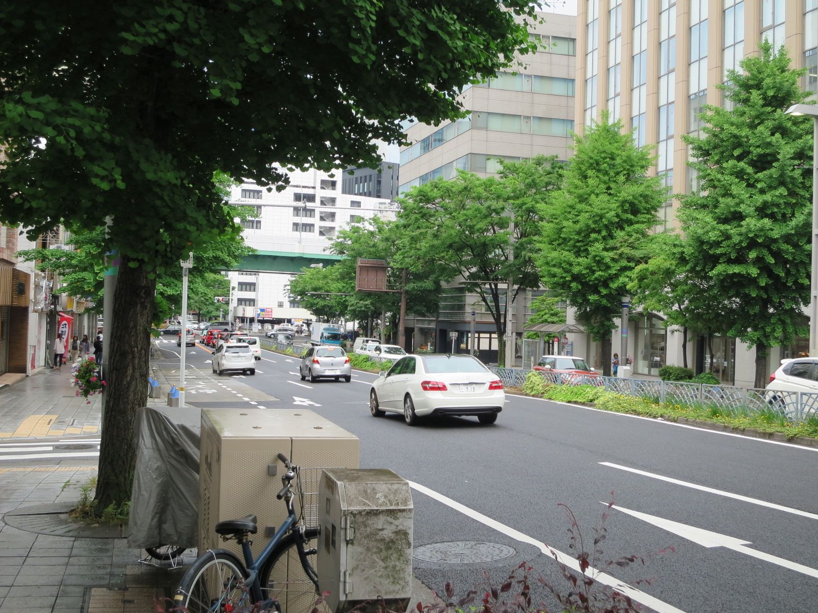 緑の多い通り