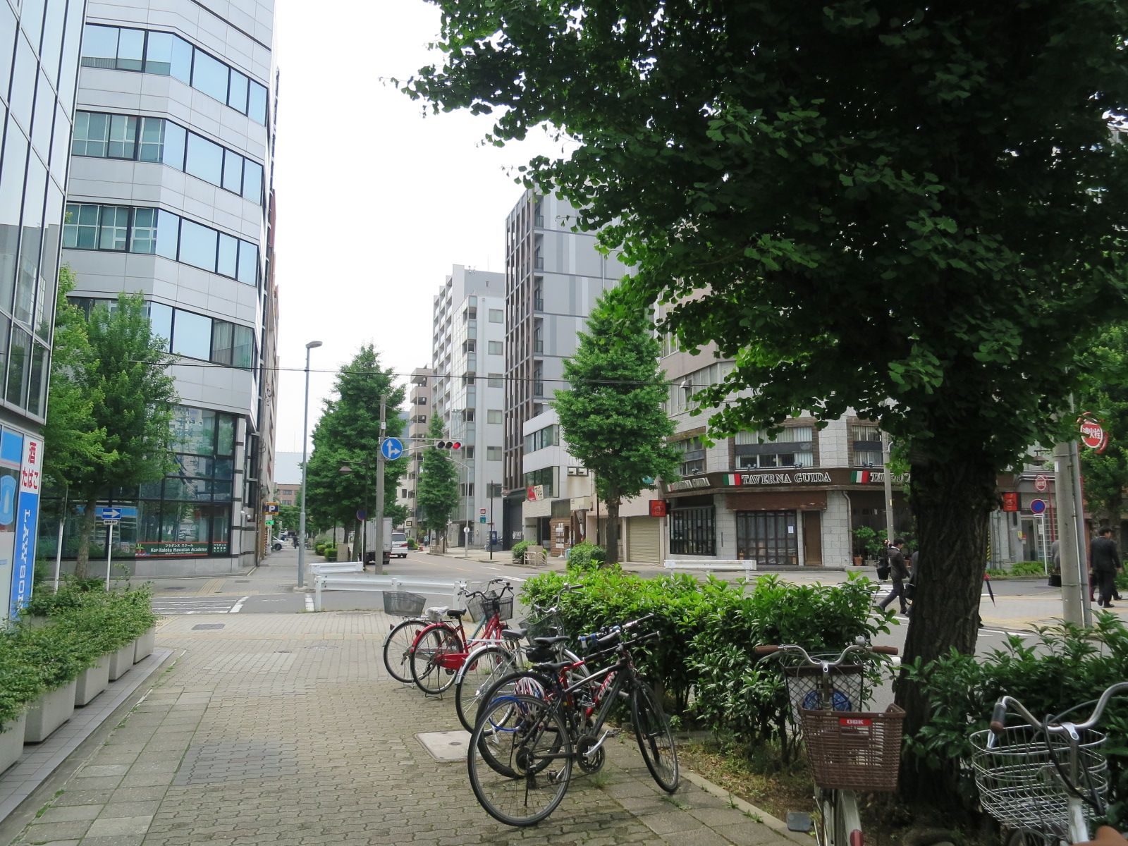 緑が多い環境
