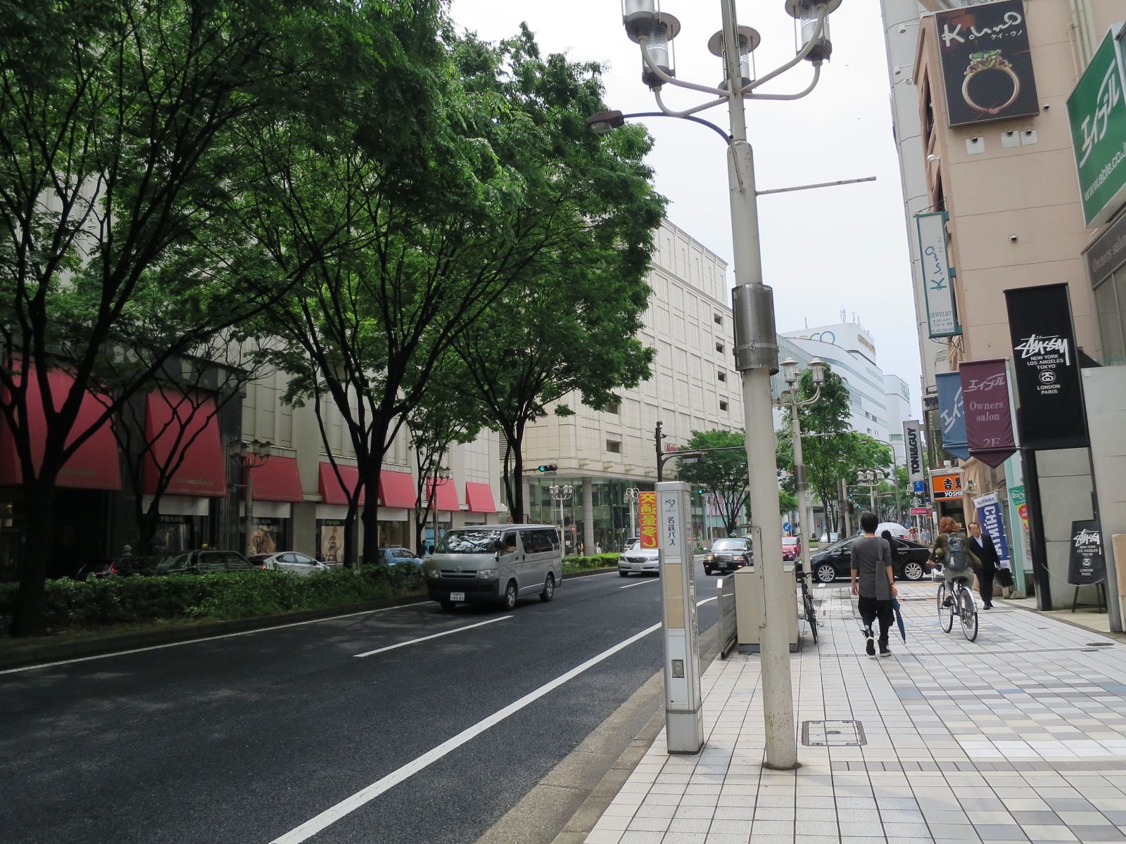 緑の豊富な歩道