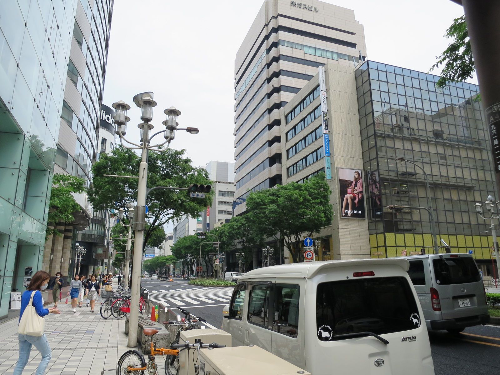 交通量の多い前面通り