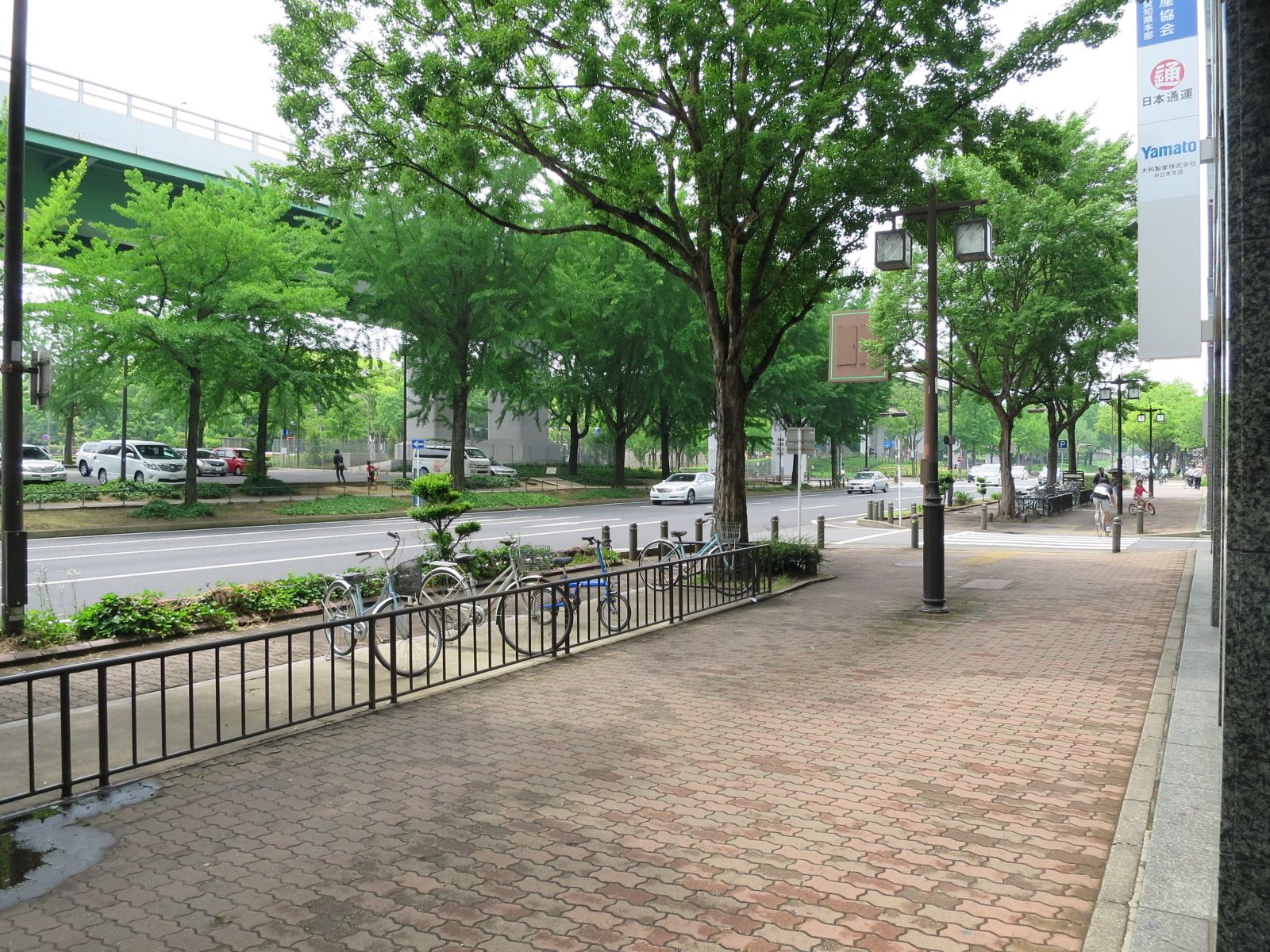 緑の豊富な歩道
