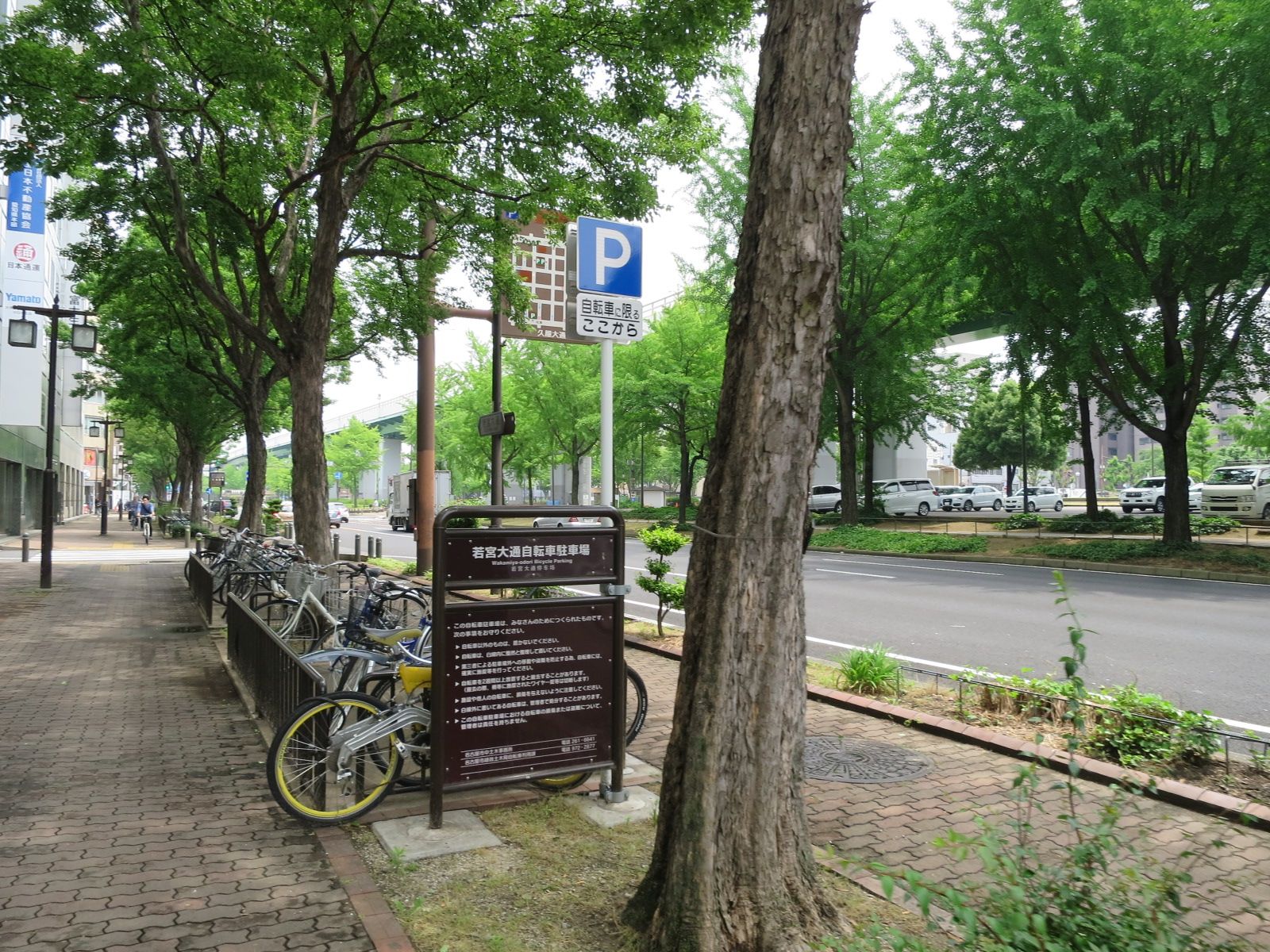 自転車置き場