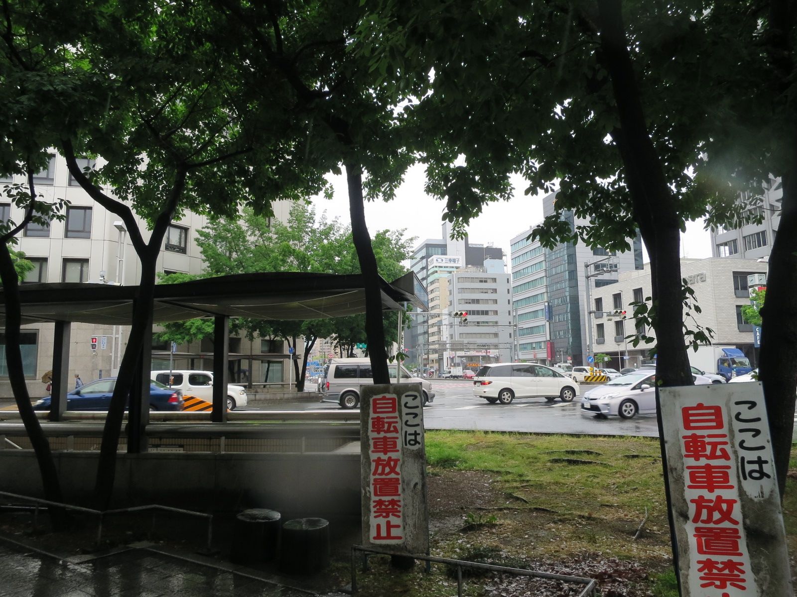 緑が豊富な歩道