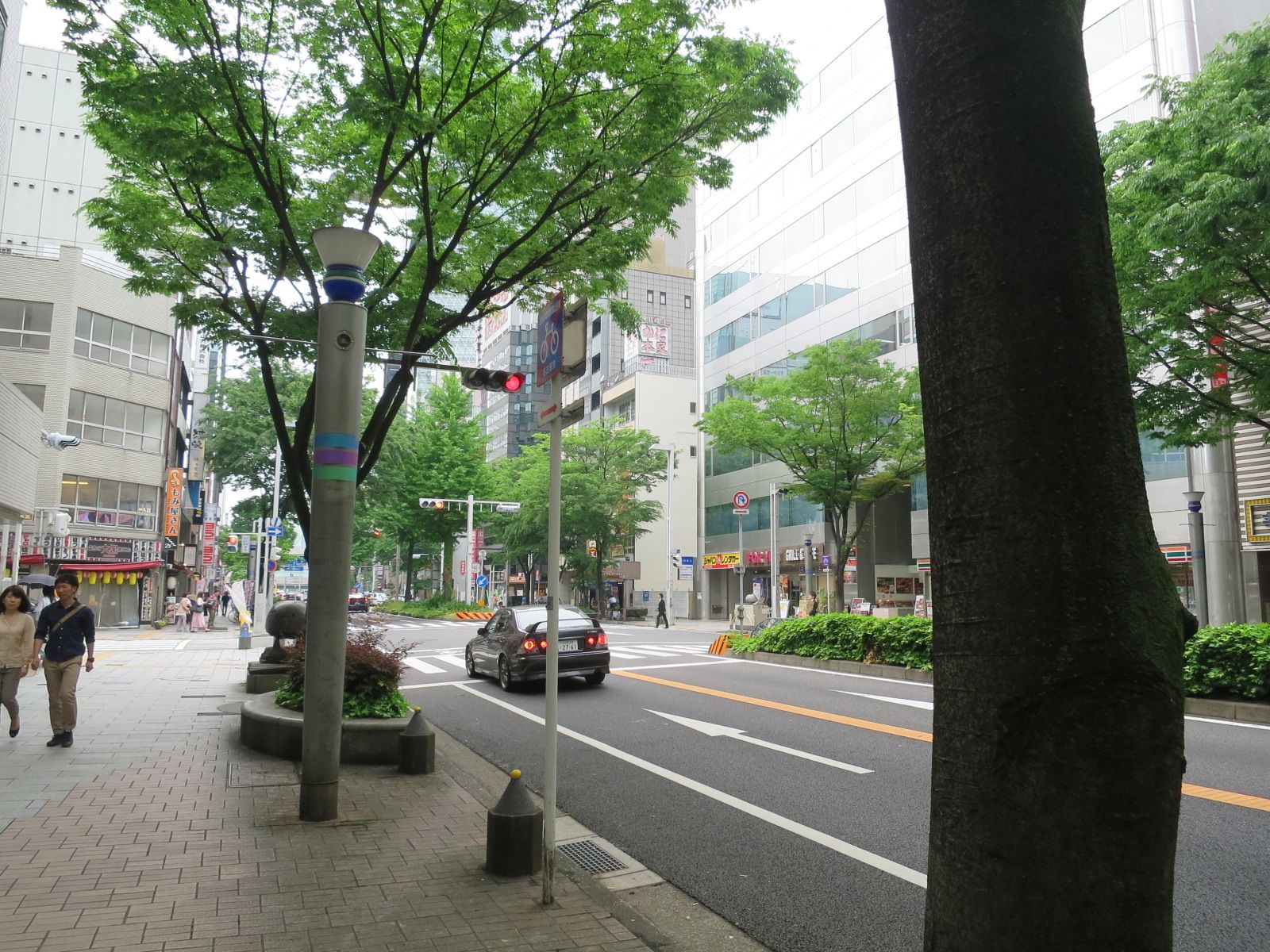 緑の多い環境
