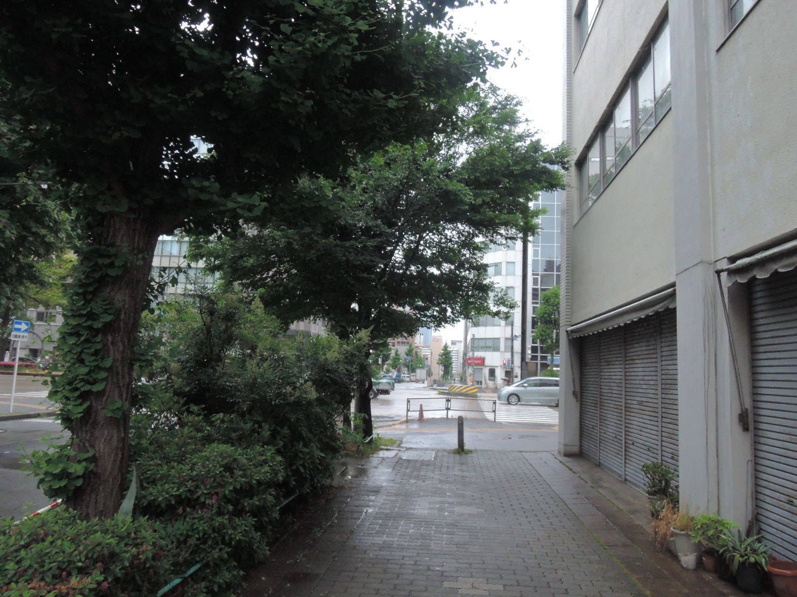 緑豊かなオフィスビル周辺