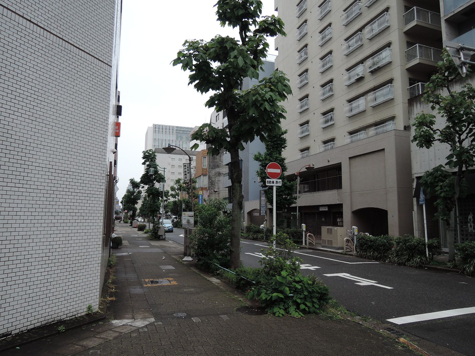 オフィス前面の通り
