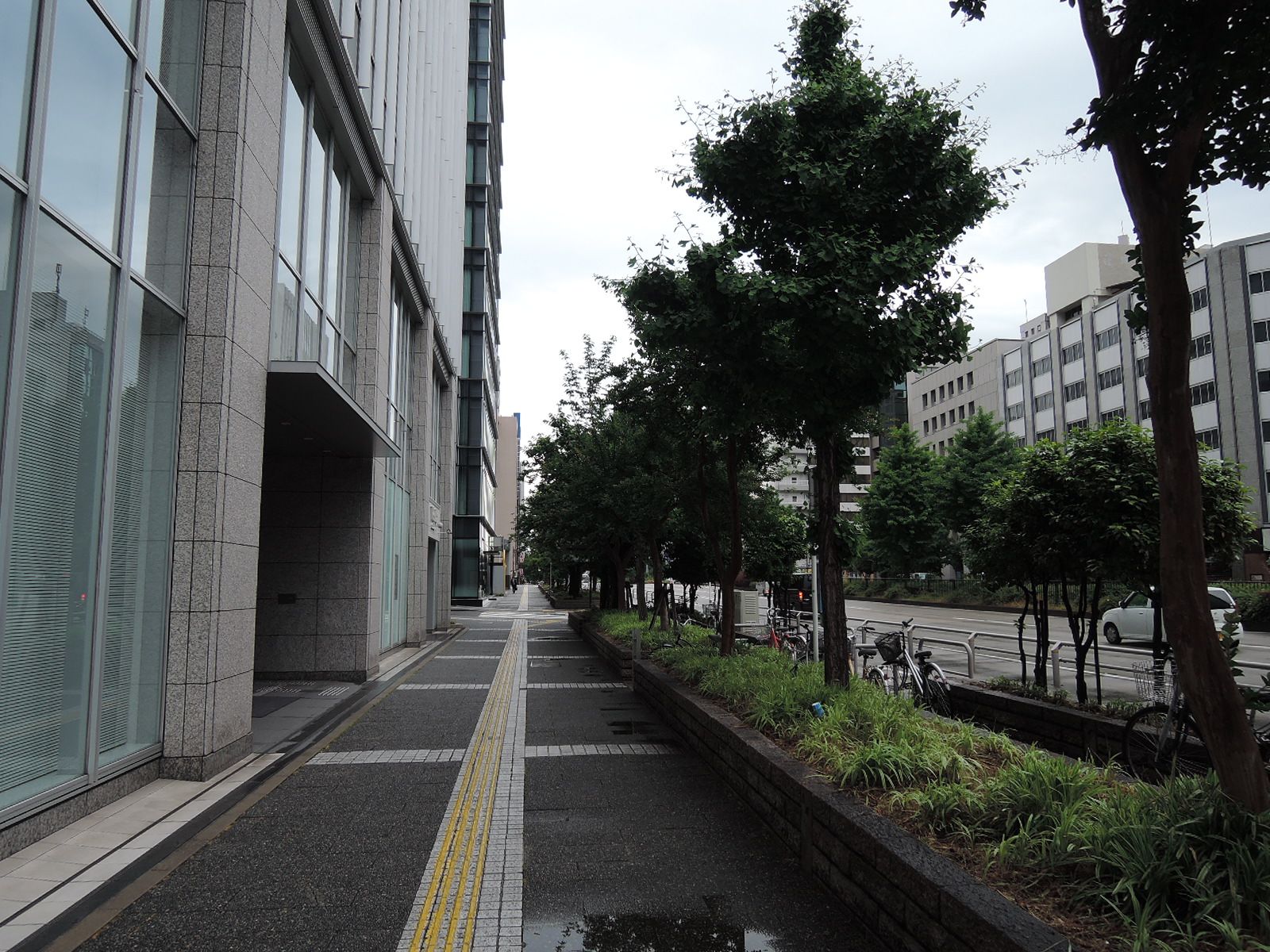 広々として緑豊かな歩道
