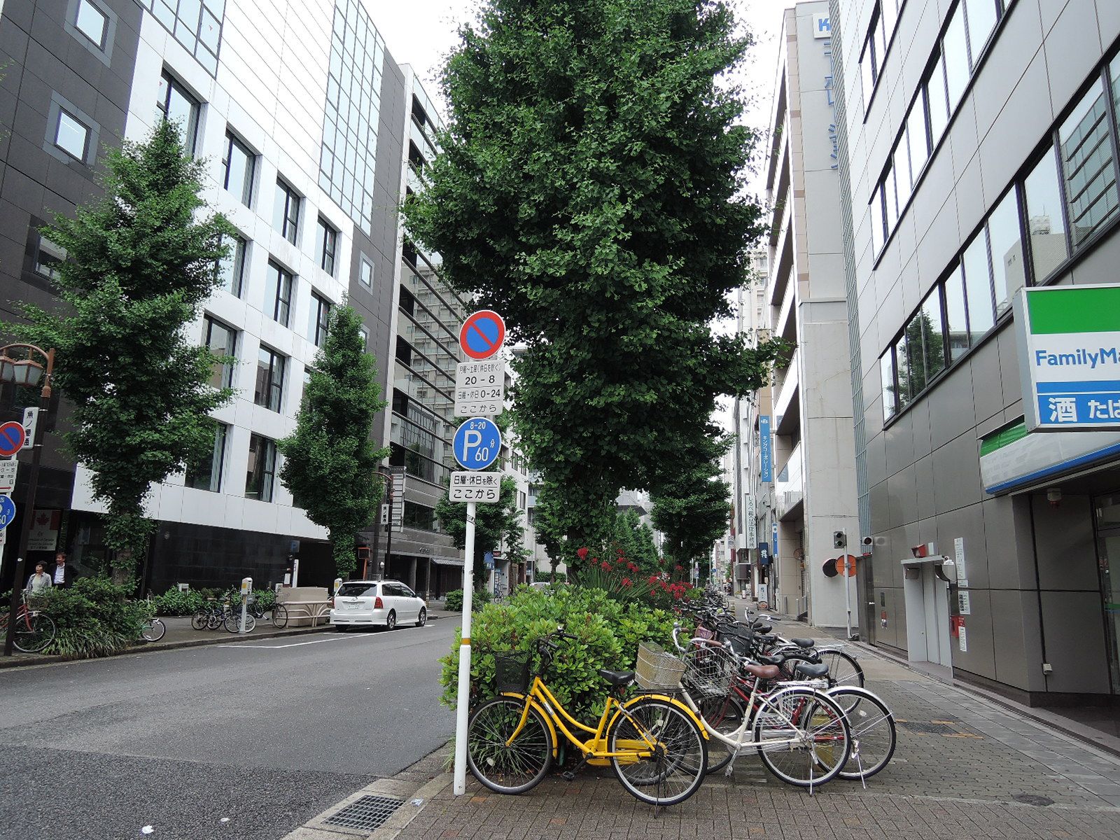 オフィス前の街路樹
