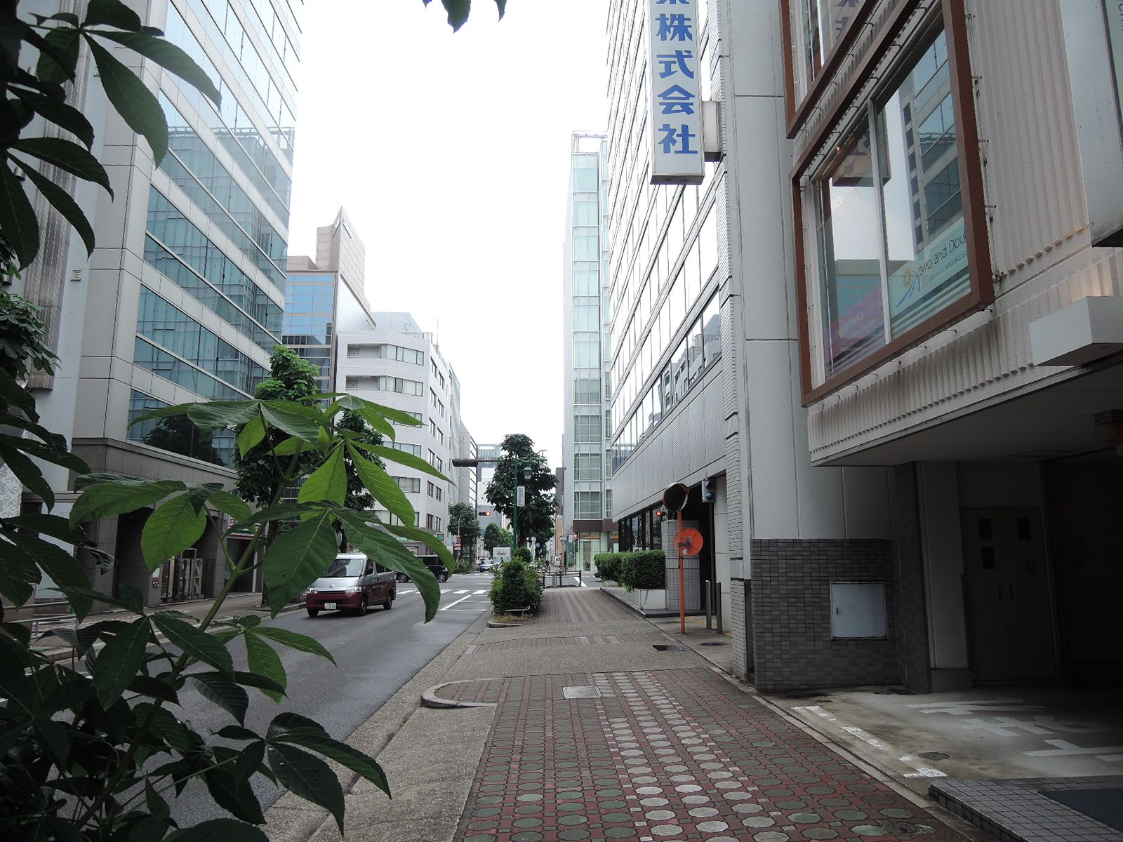オフィスビル前面の杉ノ町通