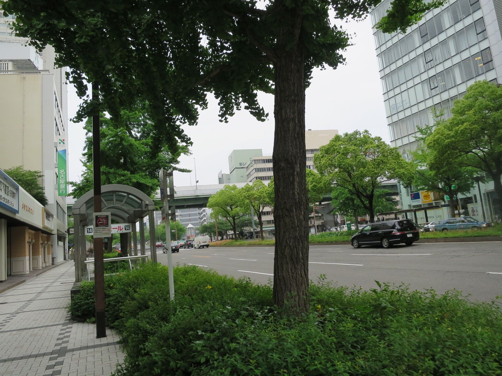 緑の多い通り
