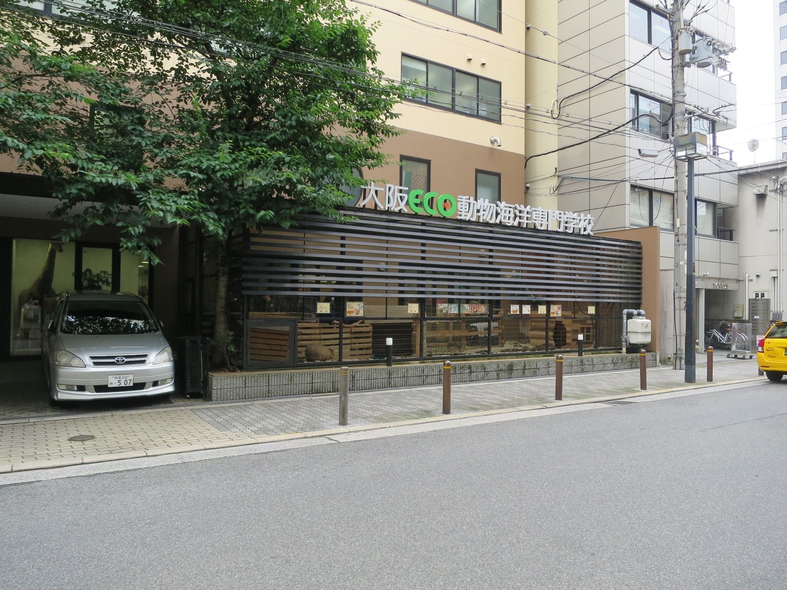 近くの専門学校