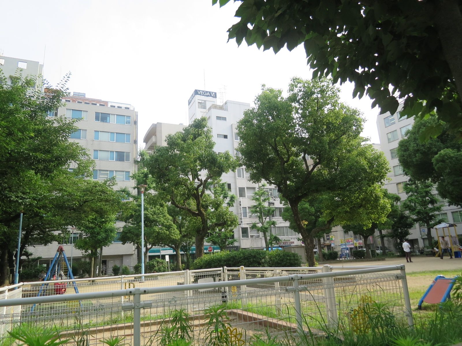 近くの公園