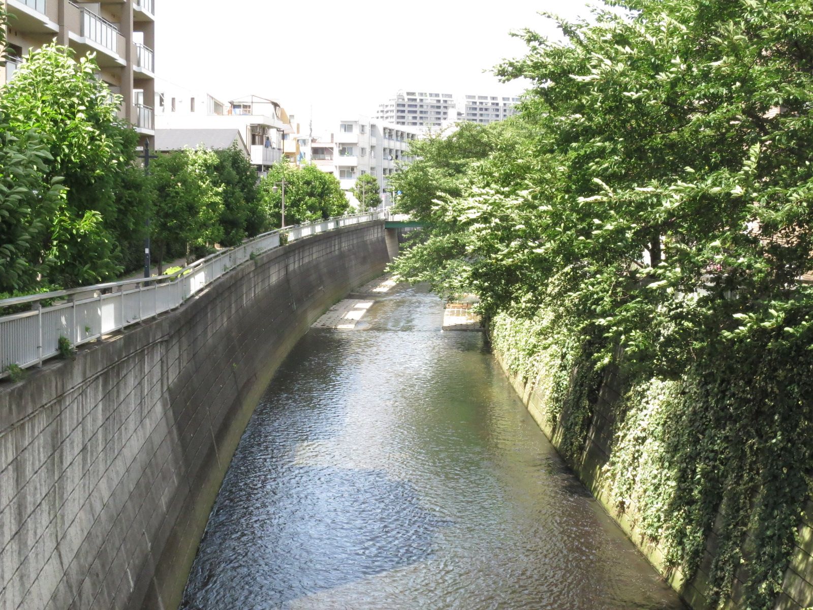 付近を流れる神田川