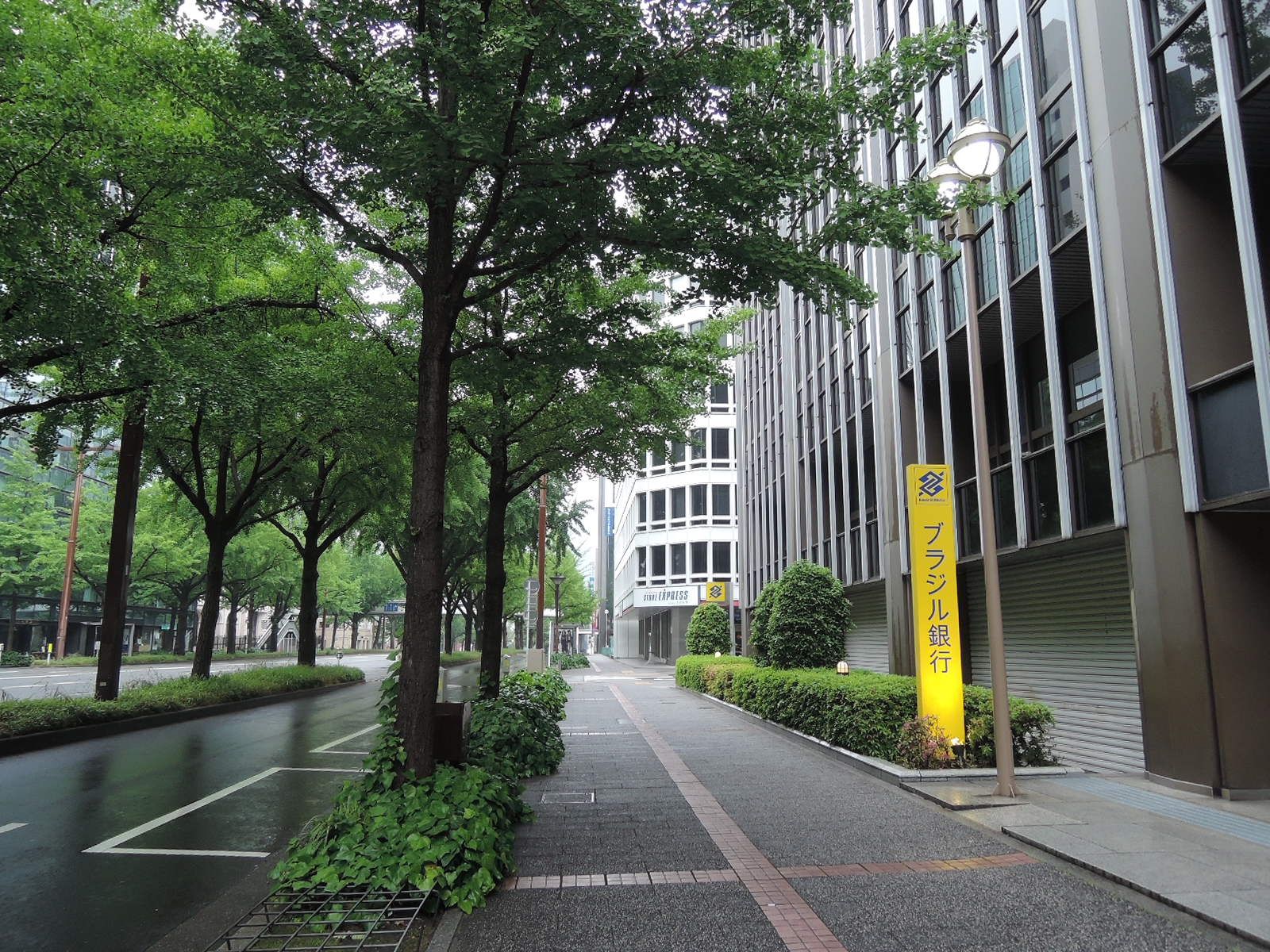 オフィスビル前面の緑豊かな歩道