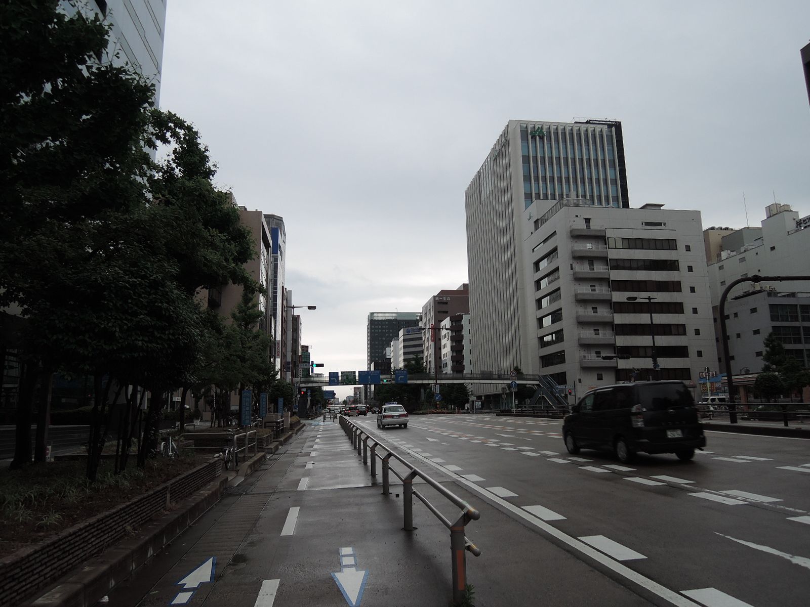 近くの桜通
