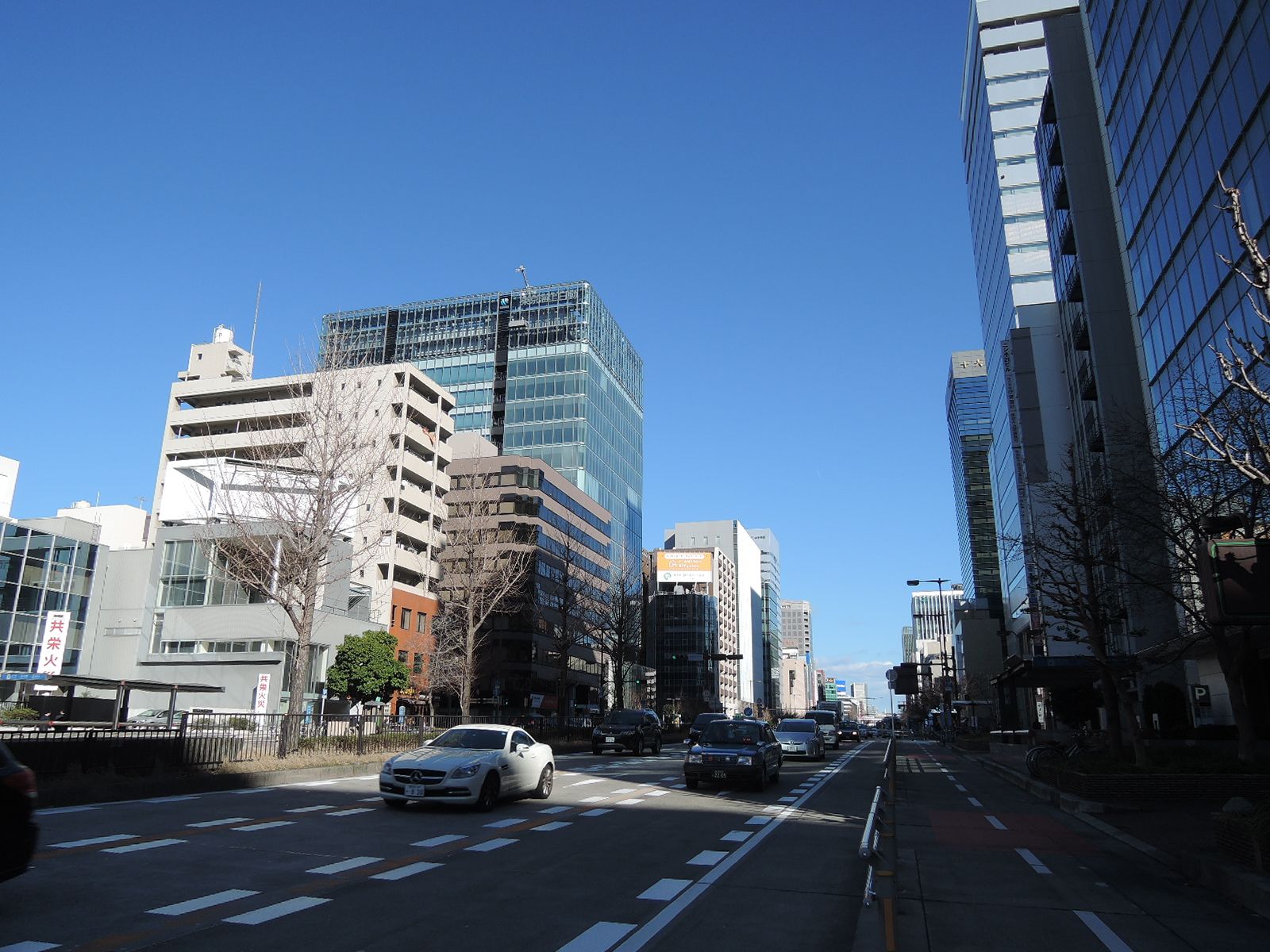 付近の桜通