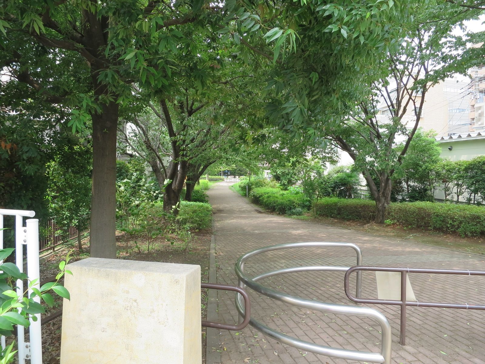少し歩くと新田間川緑地