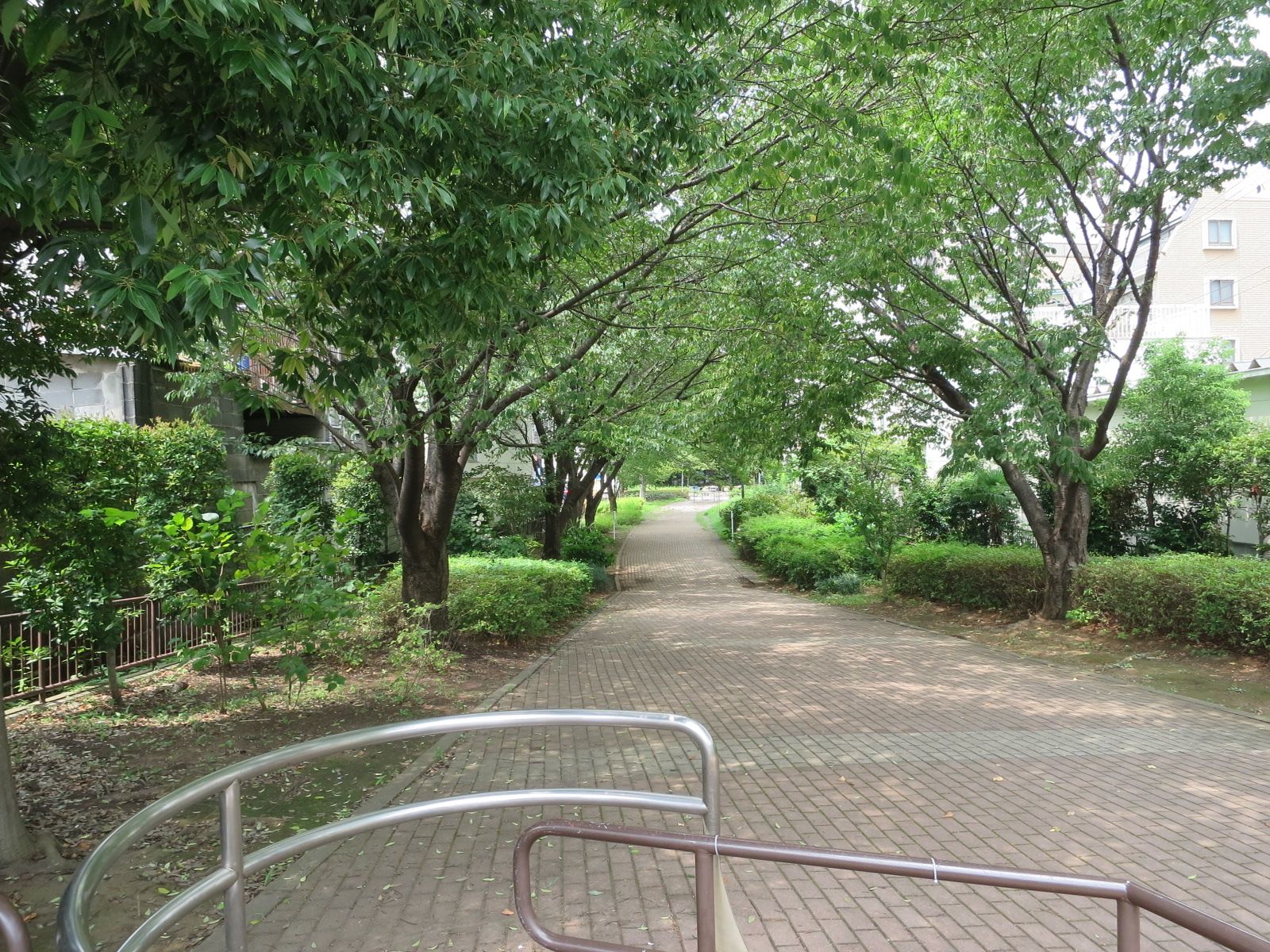 新田間川緑地