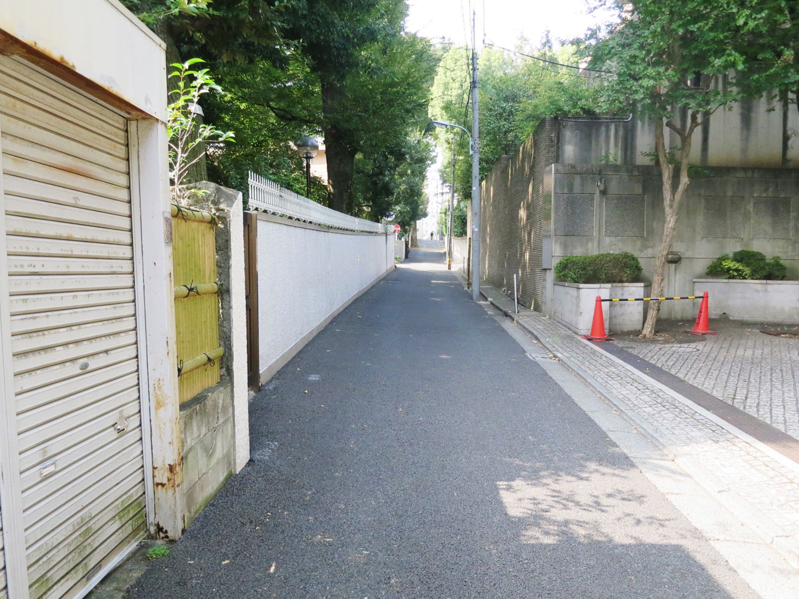 RIS白金台前面の通り