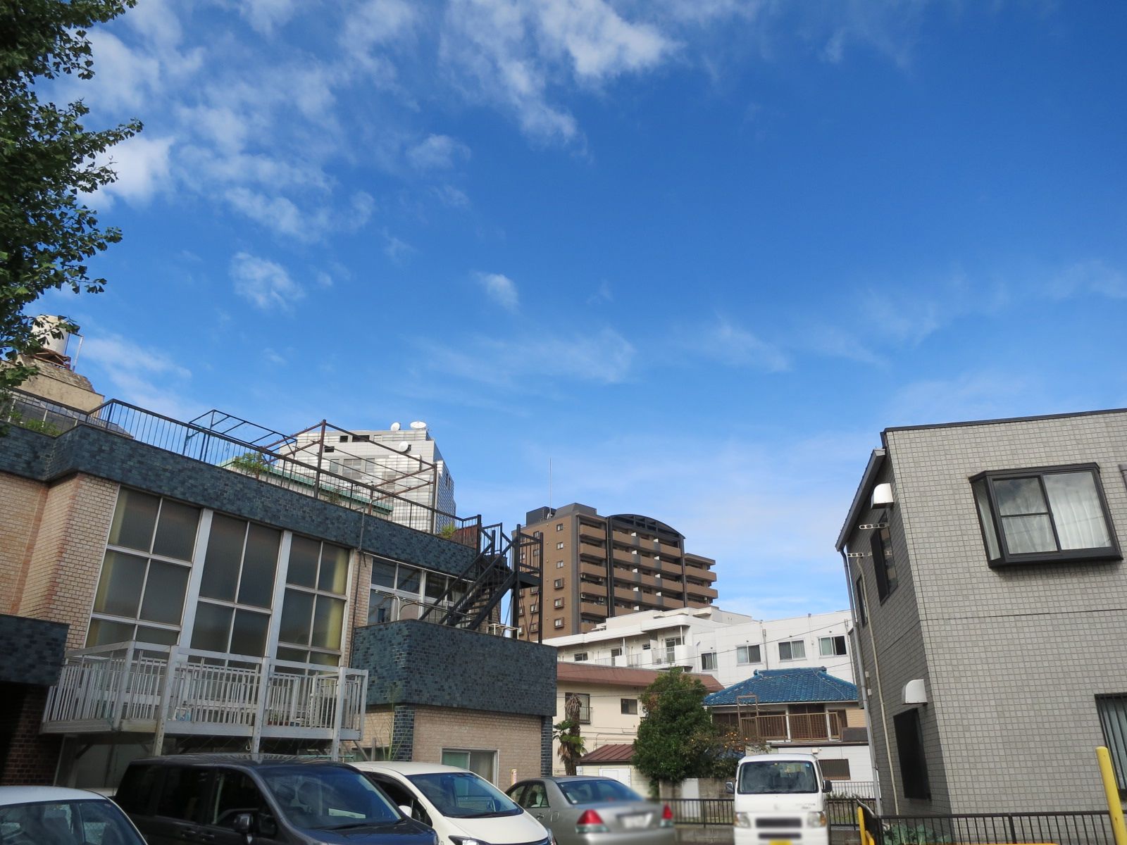 周囲は住宅街