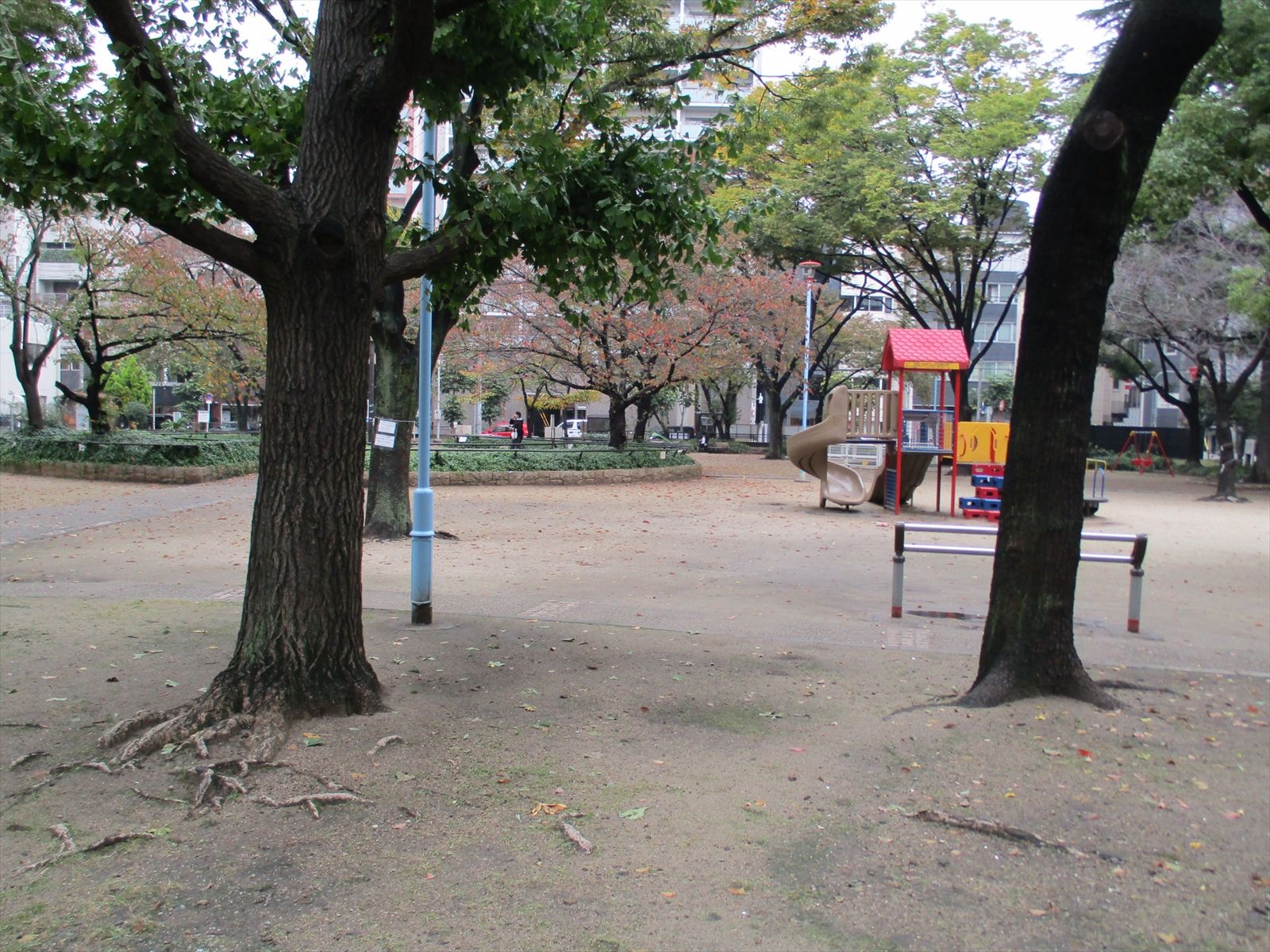 近くの堀江公園