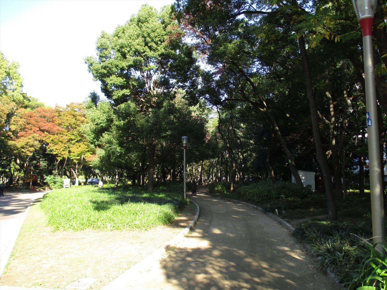 向かいの靱公園