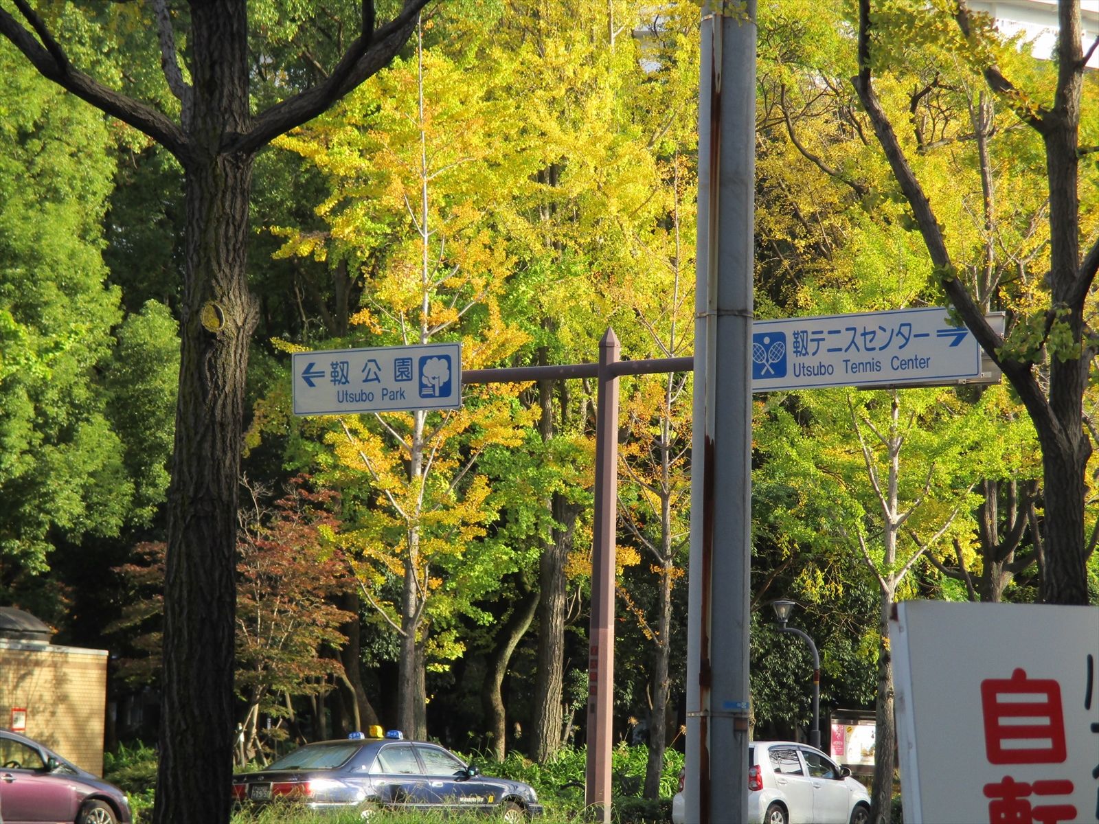 近くの靱公園