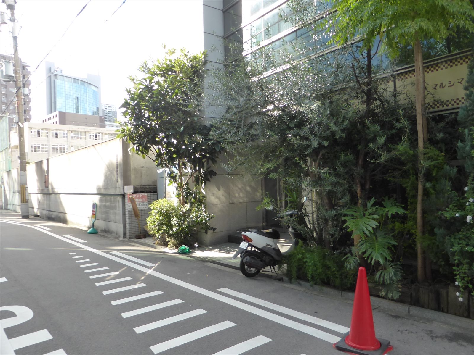 オフィスビル前面の通り