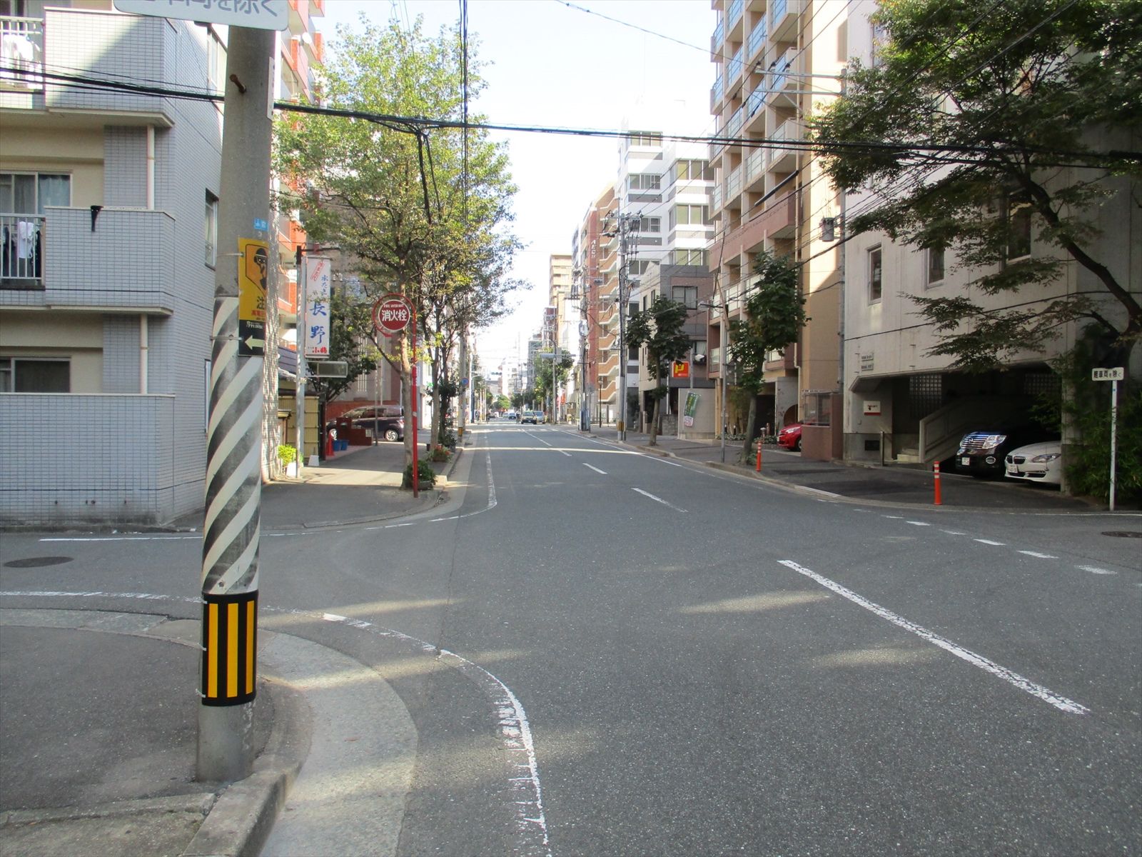 オフィスビル前面のすこやか通り