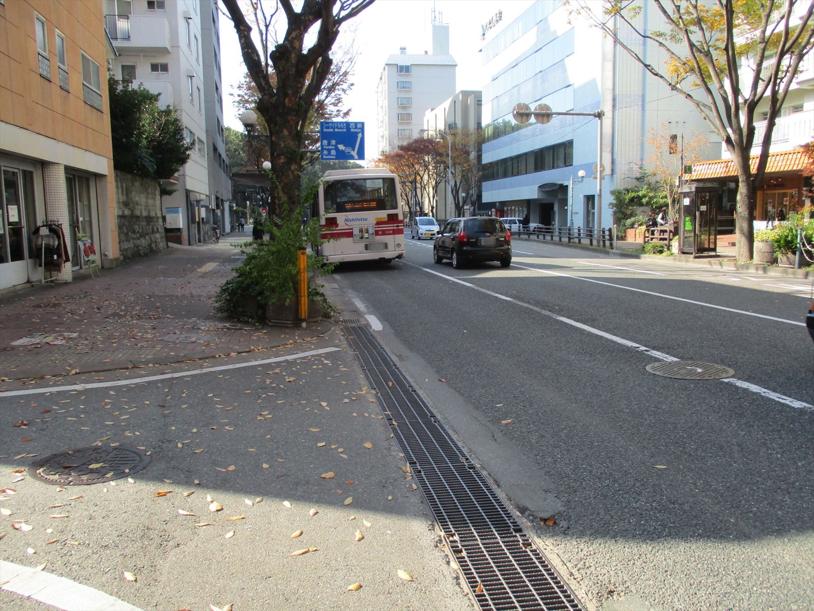 オフィスビル前面のけやき通り