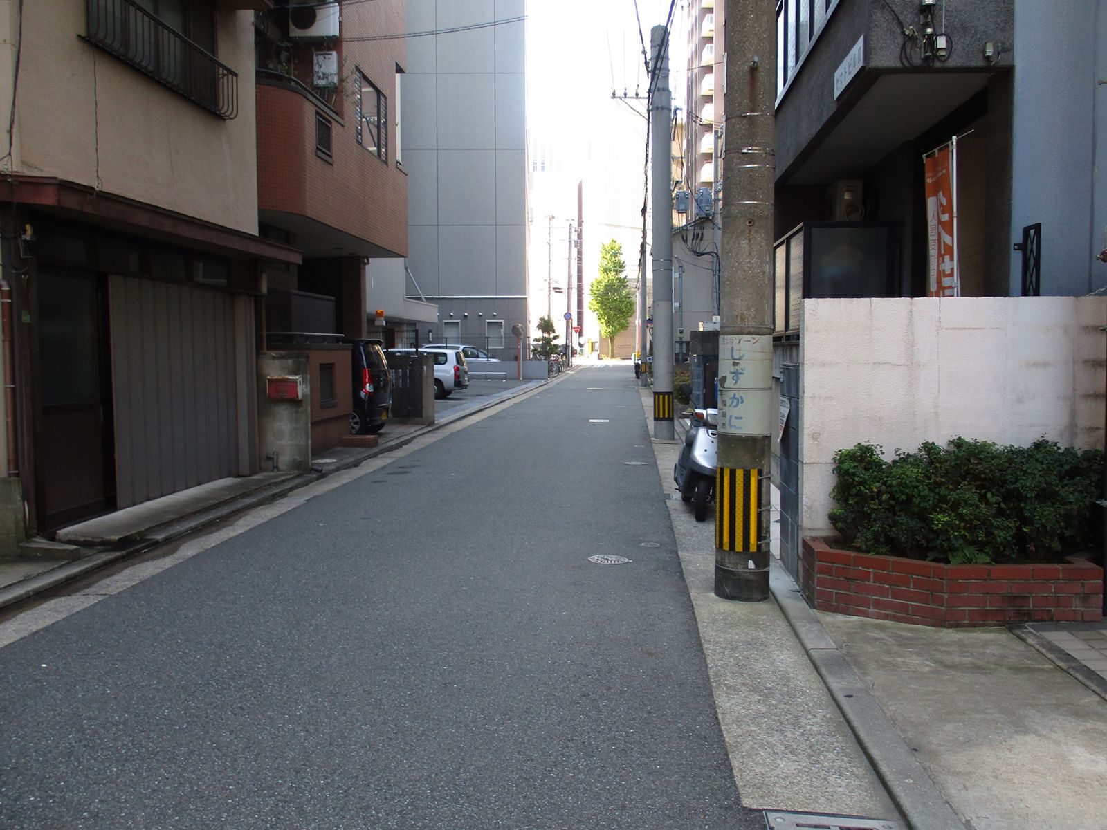 コスモビル前面の通り