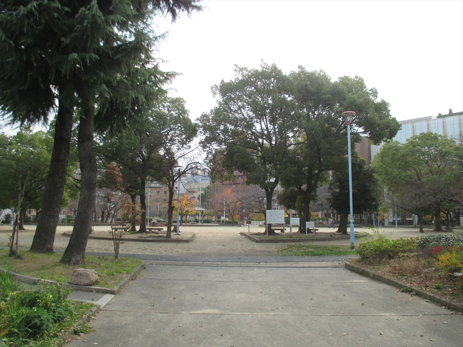 近くの中大江公園