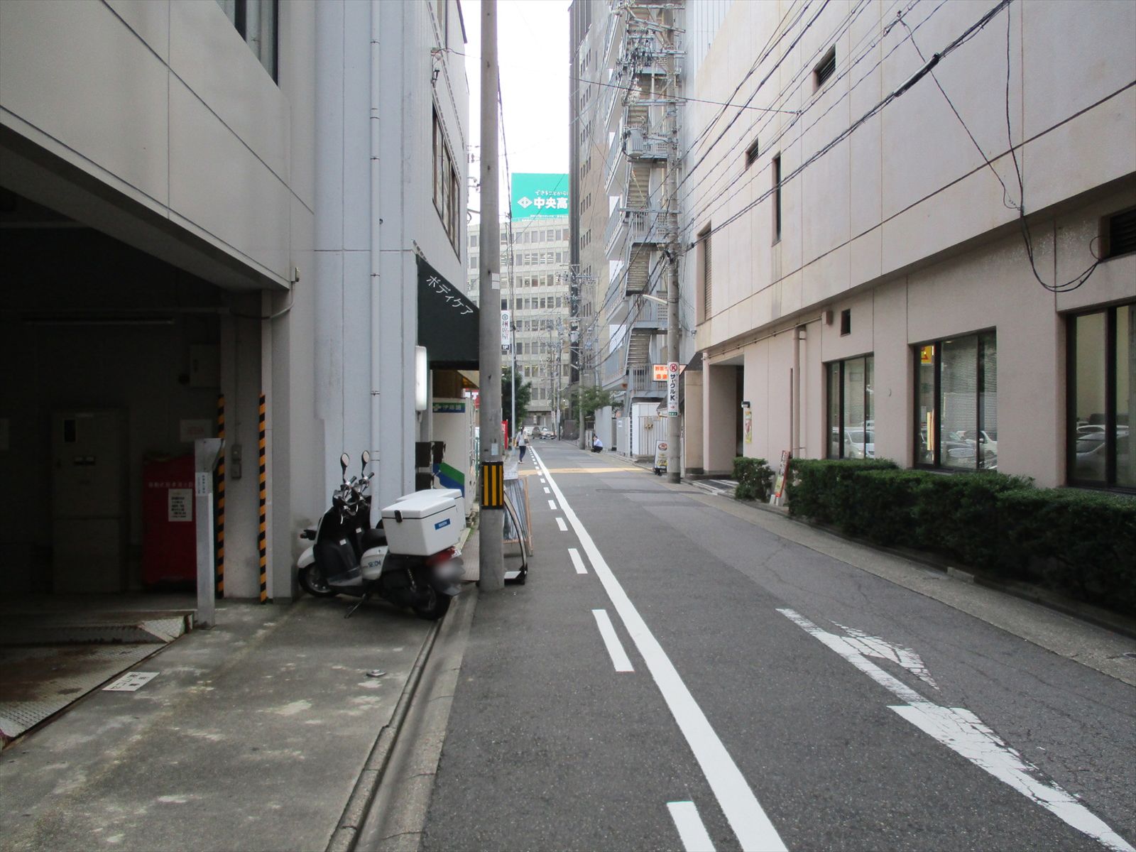 事務所前面の通り