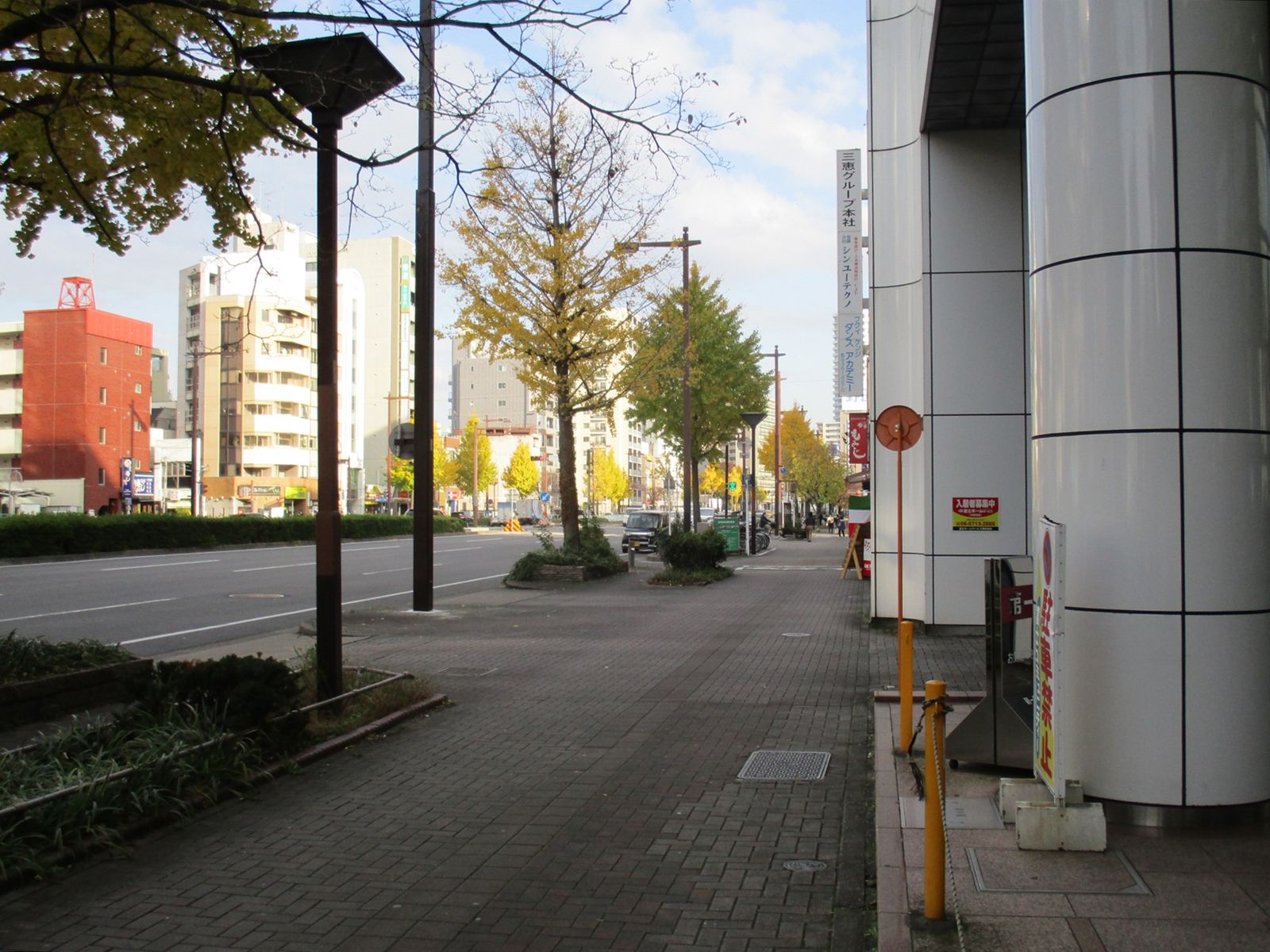 オフィスビル前面の桜通
