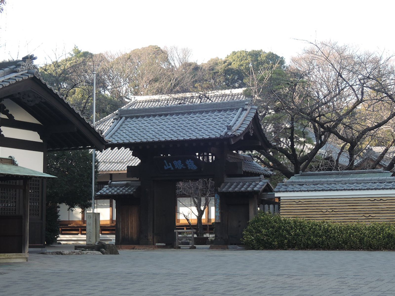 並びにある光林寺