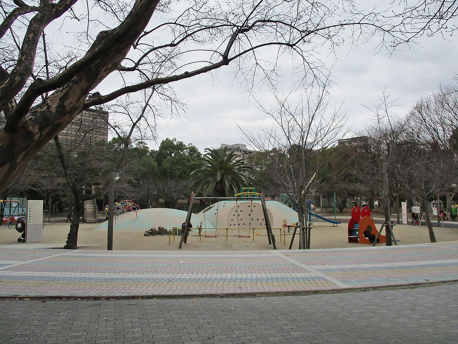 向かいの公園