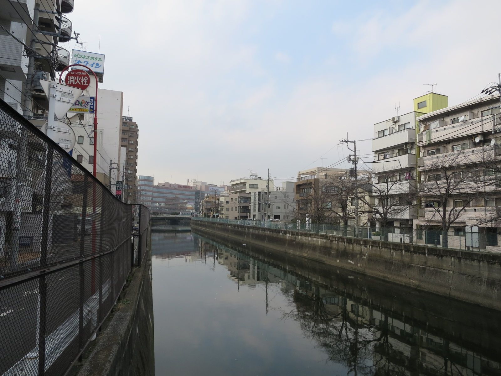 向かいの呑川