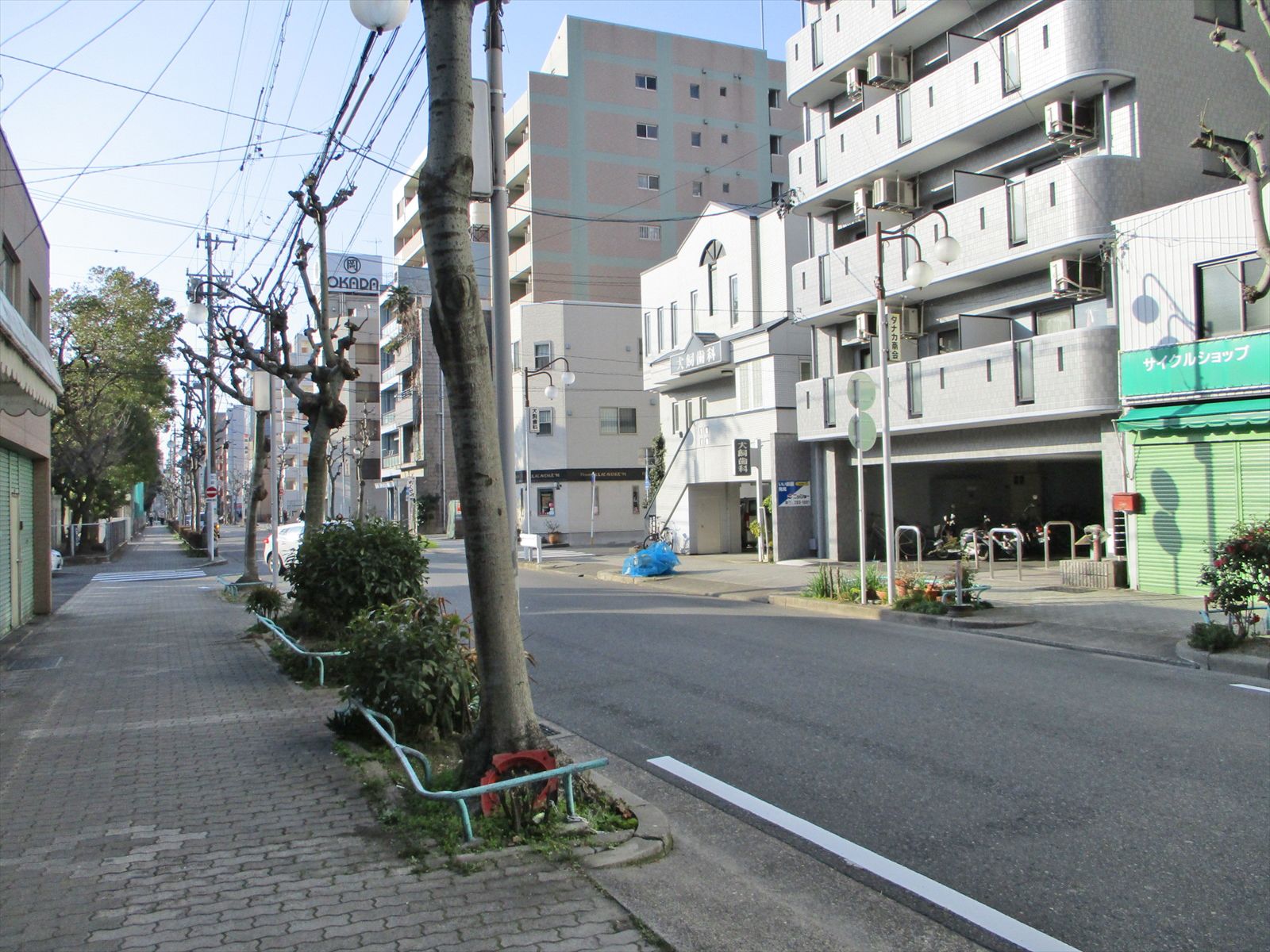 オフィスビル前の通り