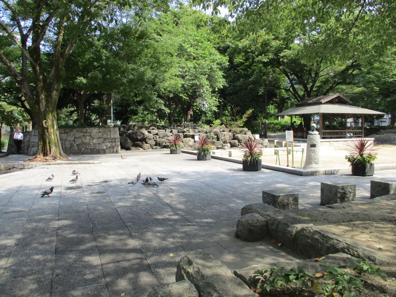 向かいの下園公園