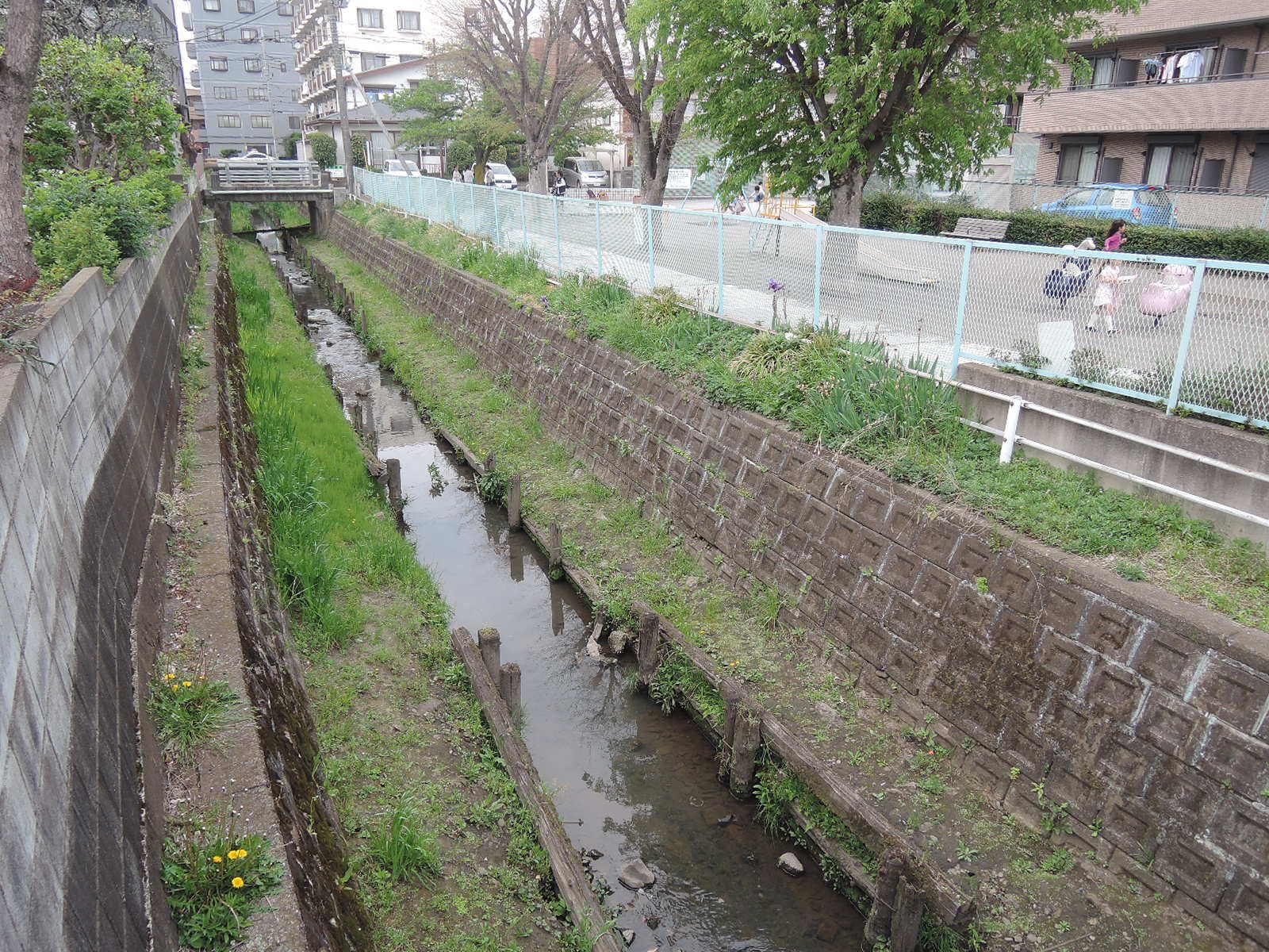 脇を流れる小川