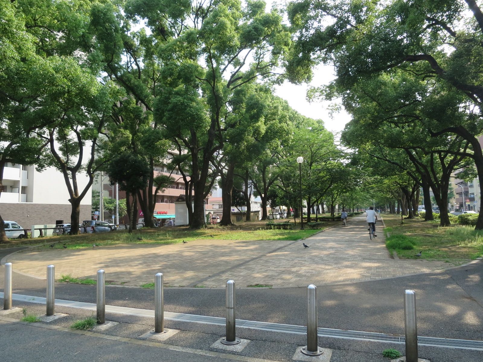 徒歩1分の大通り公園
