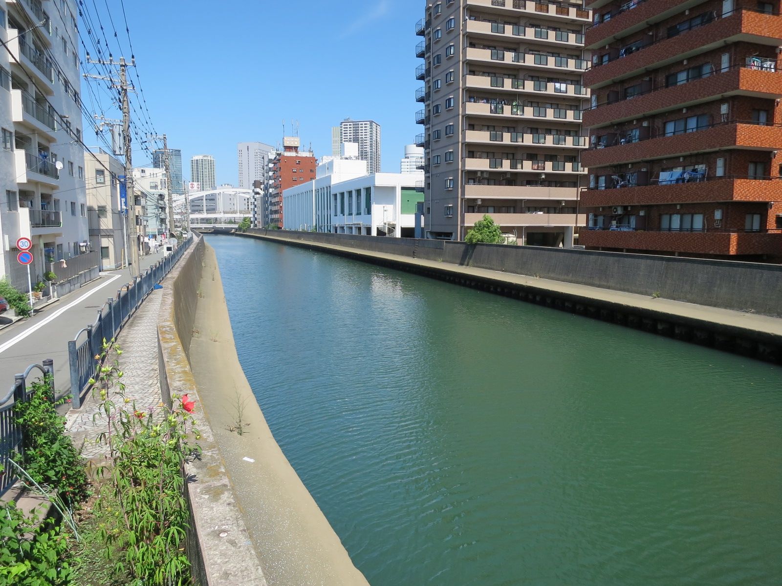 向かいの帷子川