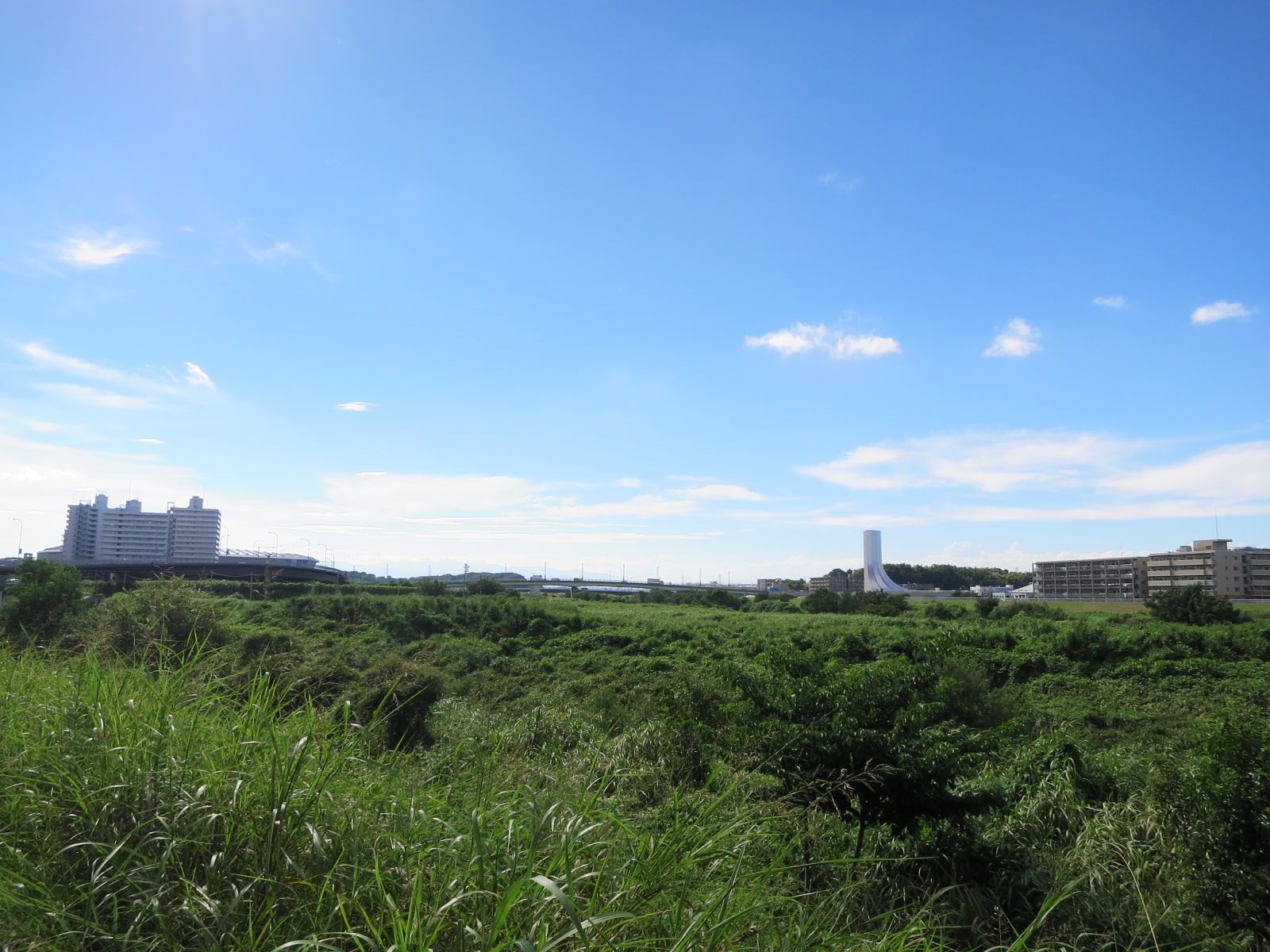 徒歩1分の鶴見川