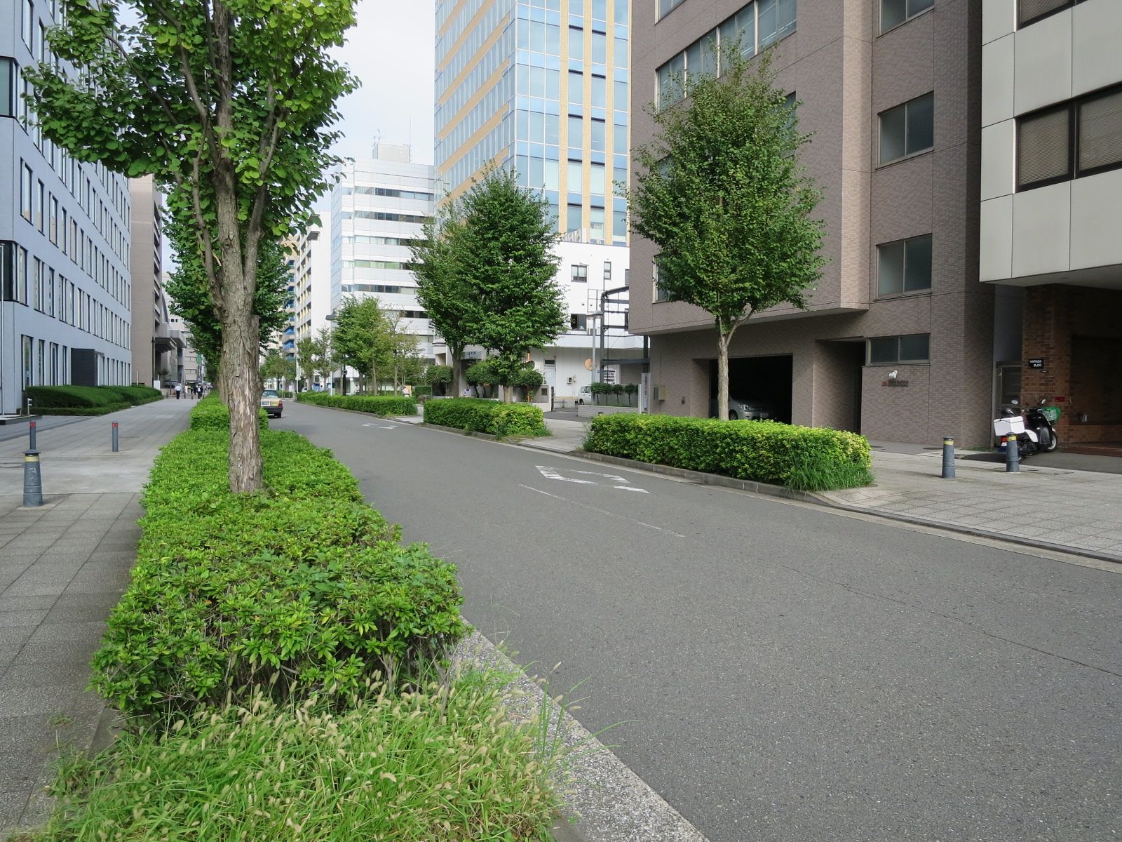 原田ビル前面の通り