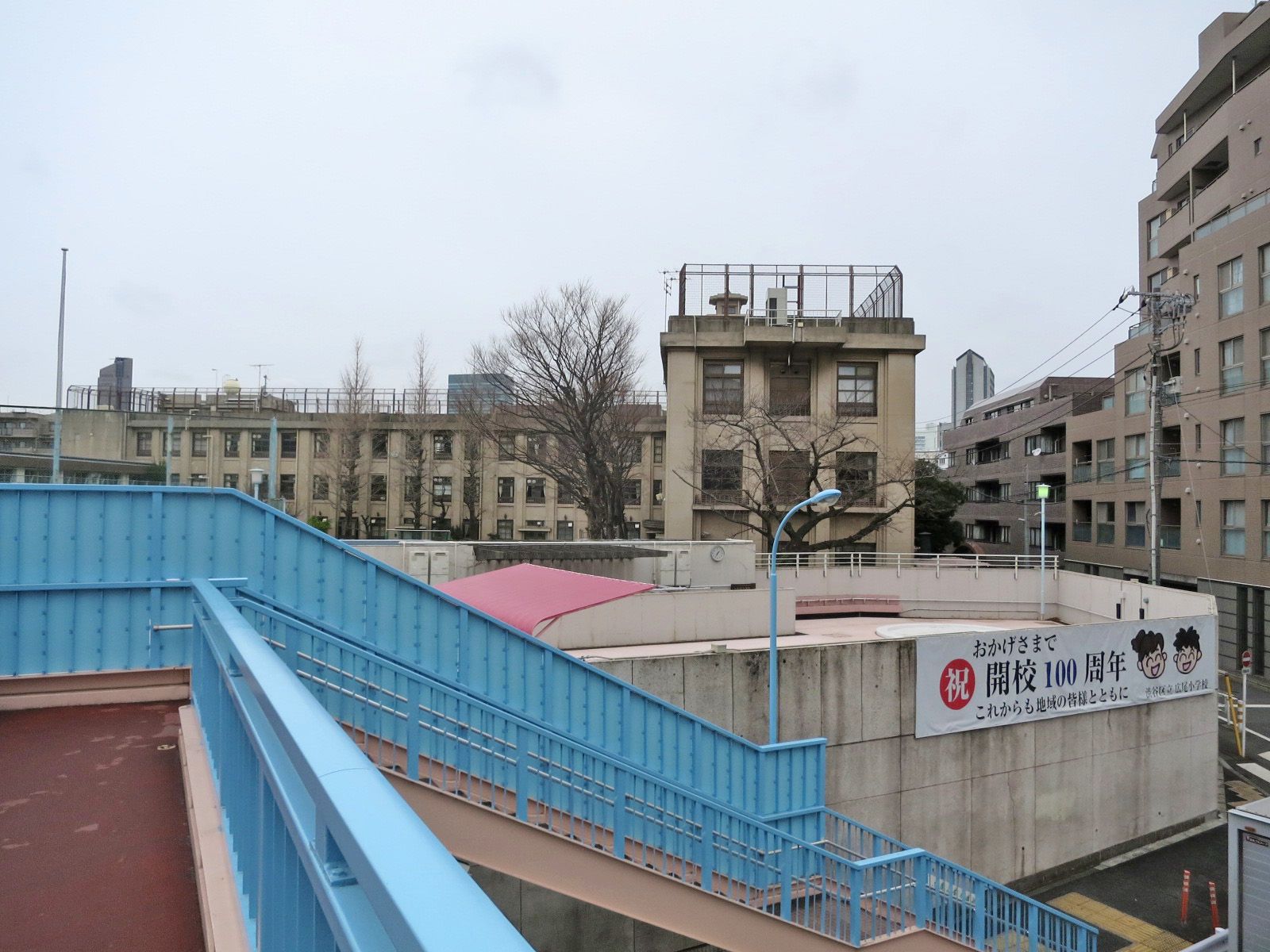近くの広尾小学校
