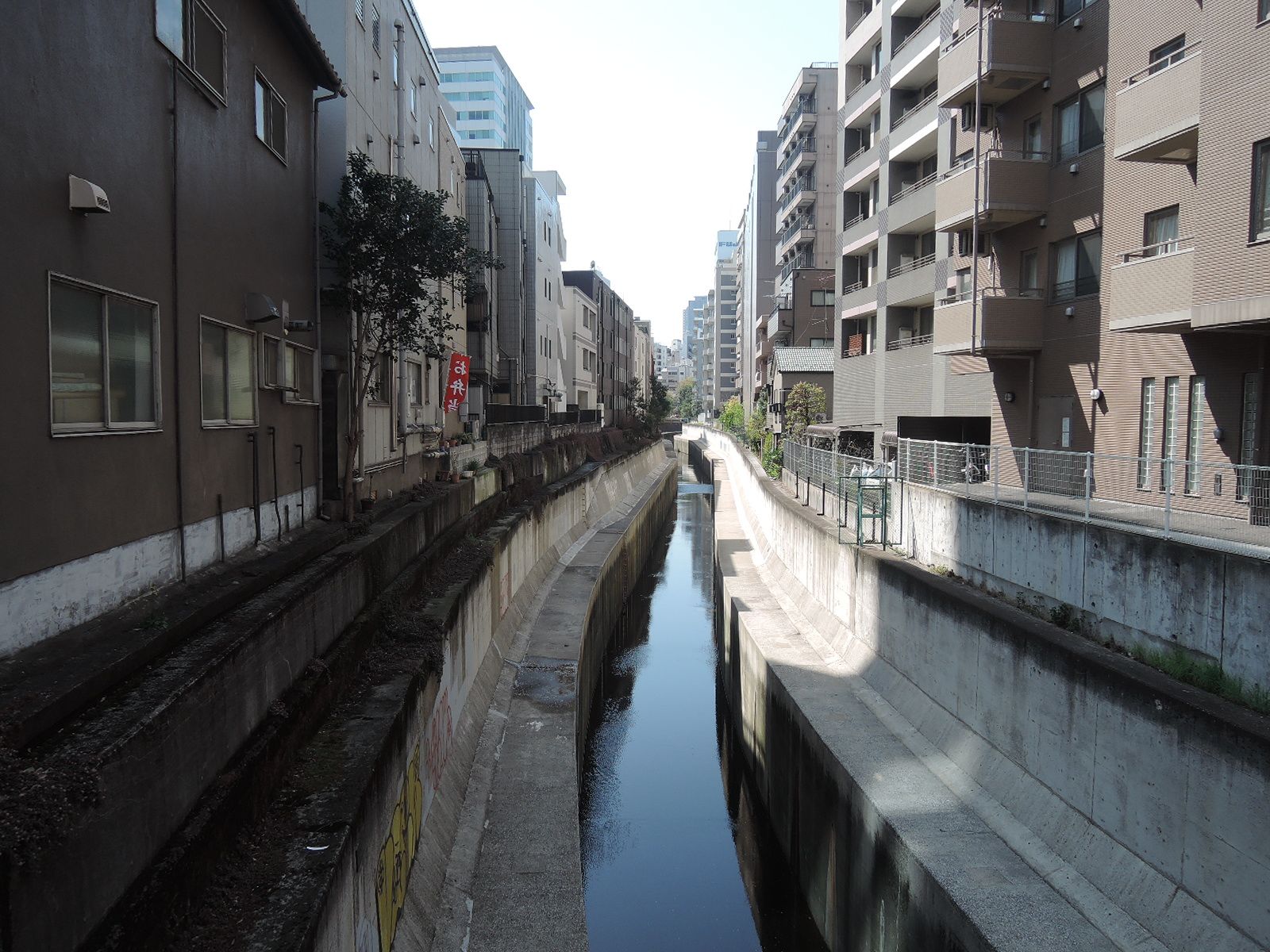 近くの渋谷川