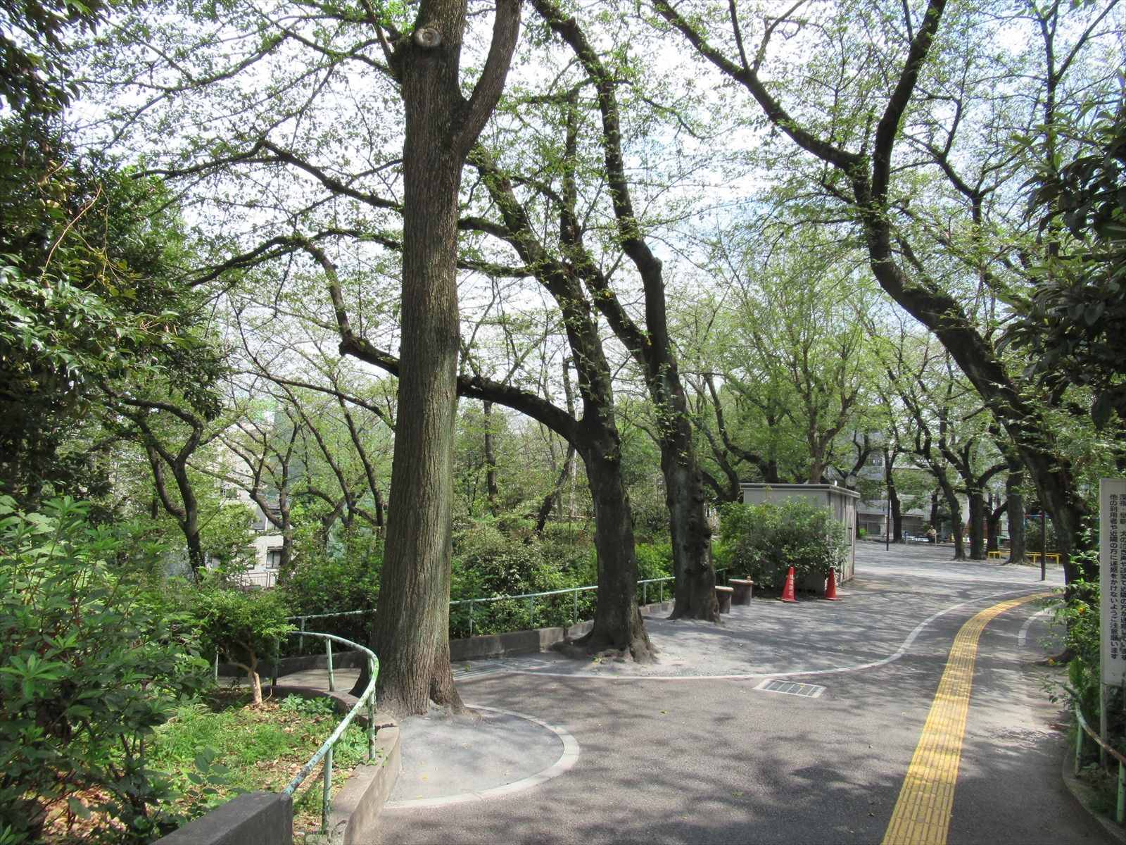 徒歩1分の駒込東公園