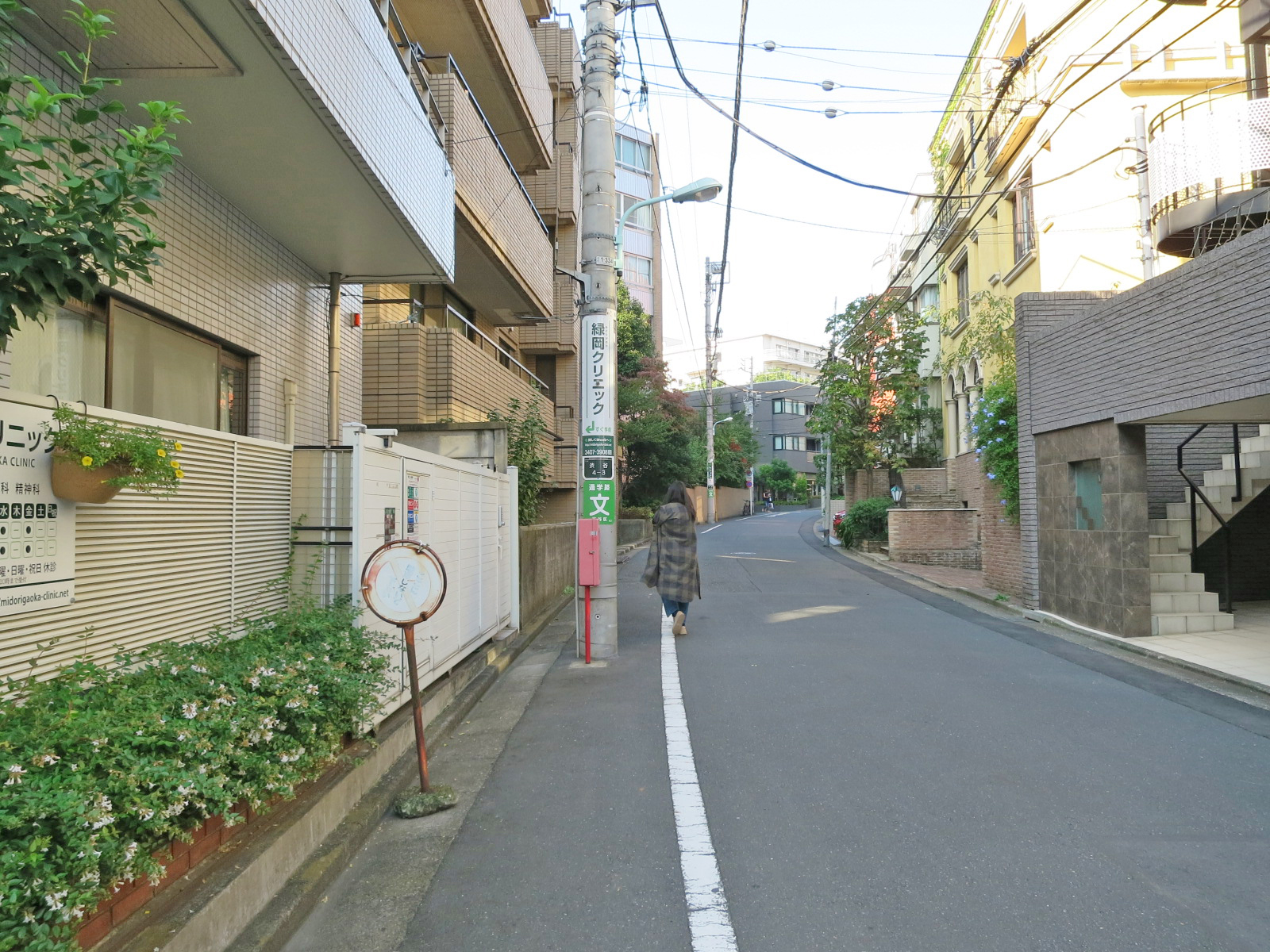 緑岡ハウス前面の通り