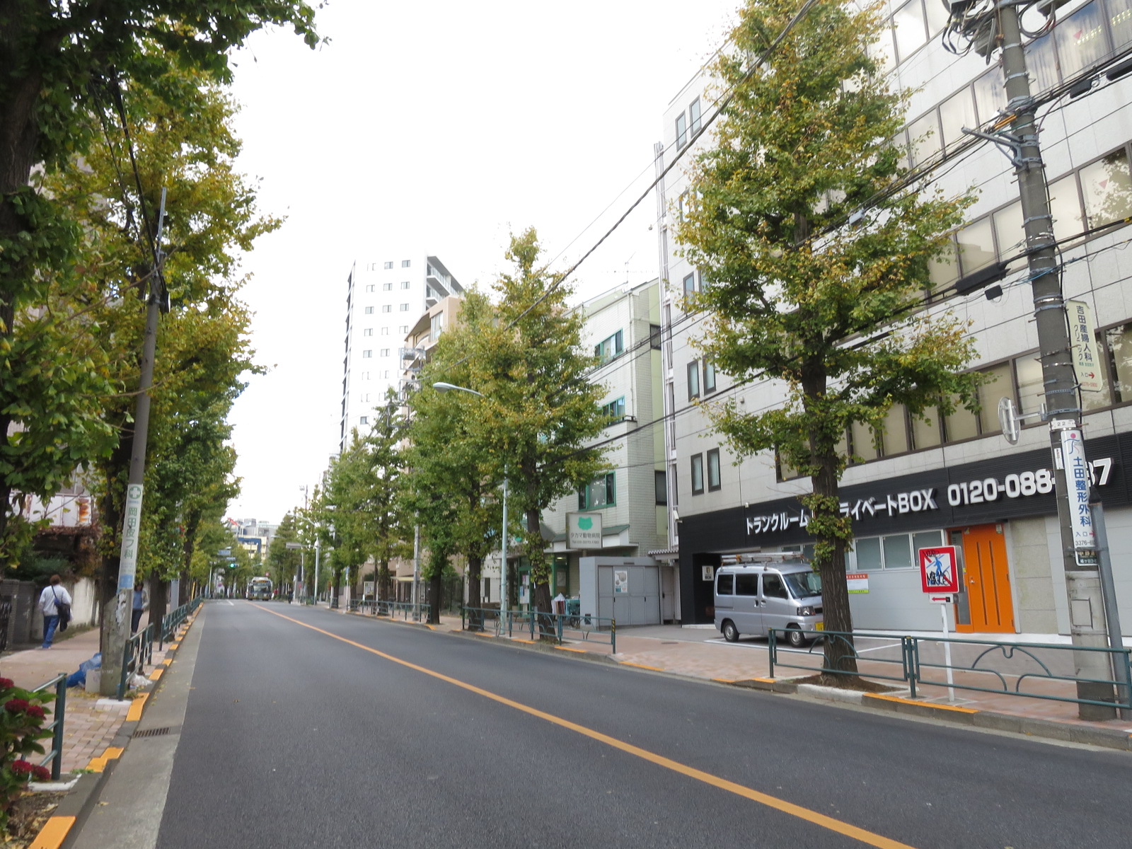 周辺は静かなエリア