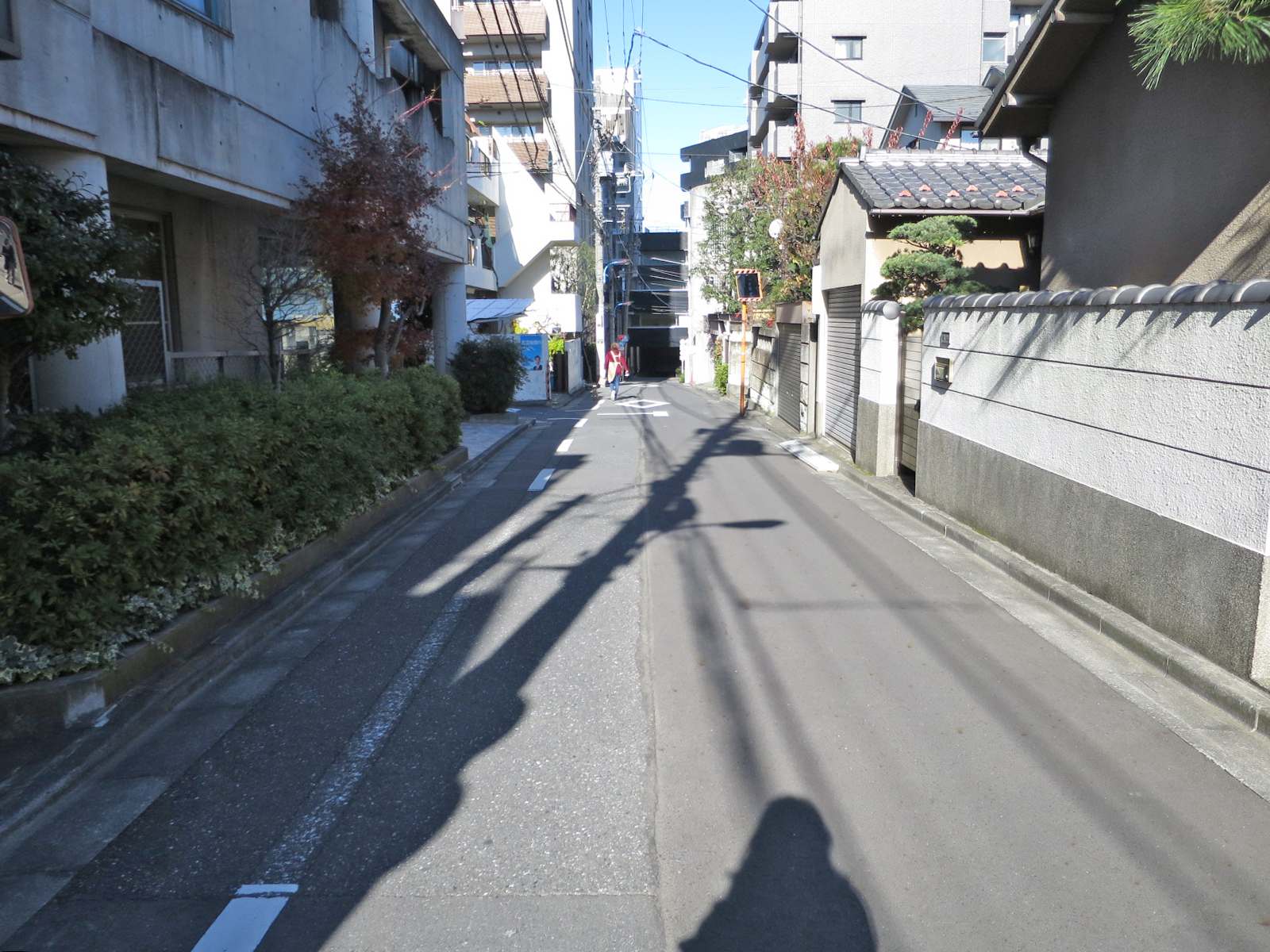 オフィスビル前面の通り